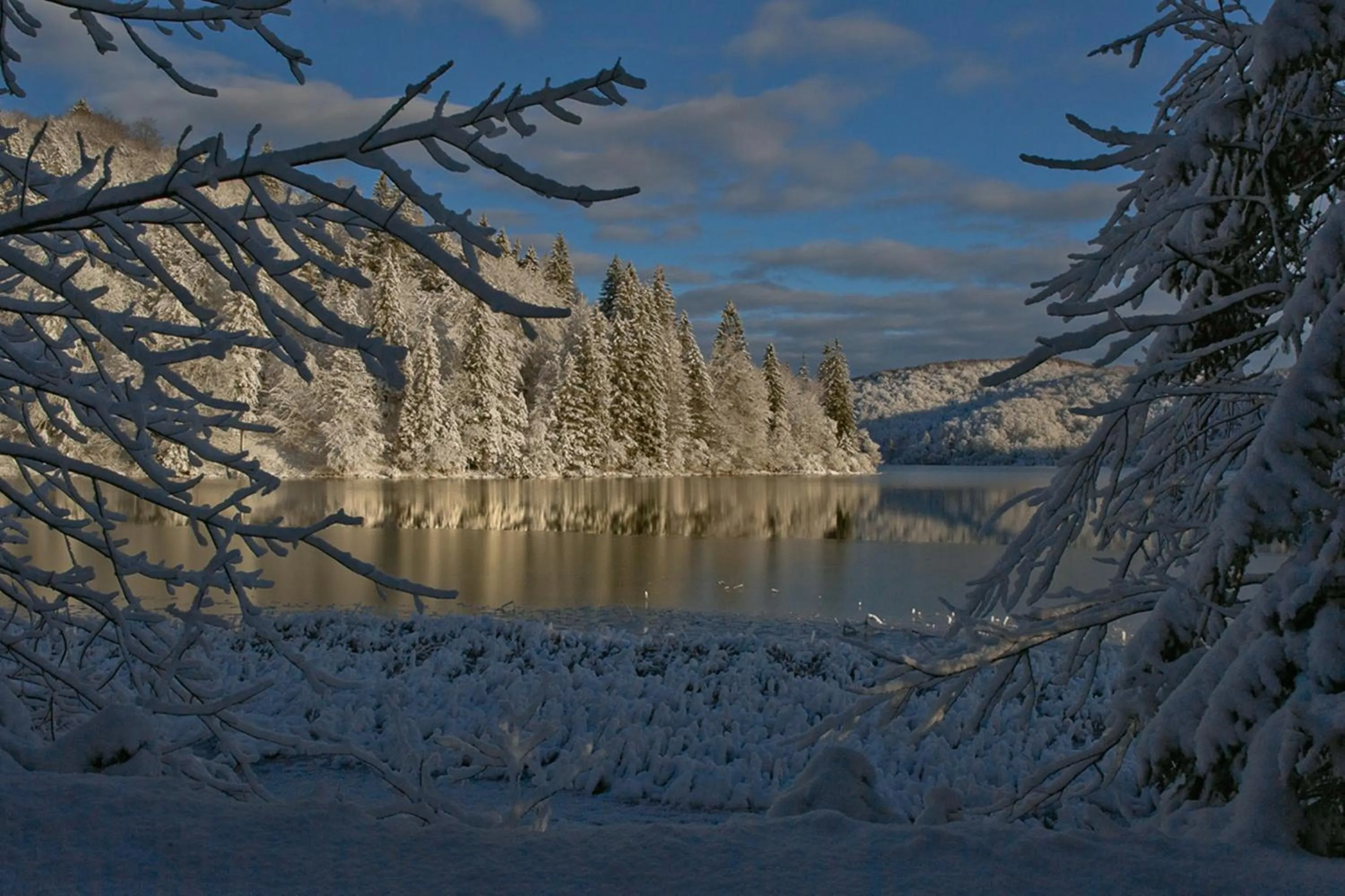 Natural landscape in Ranch Terra