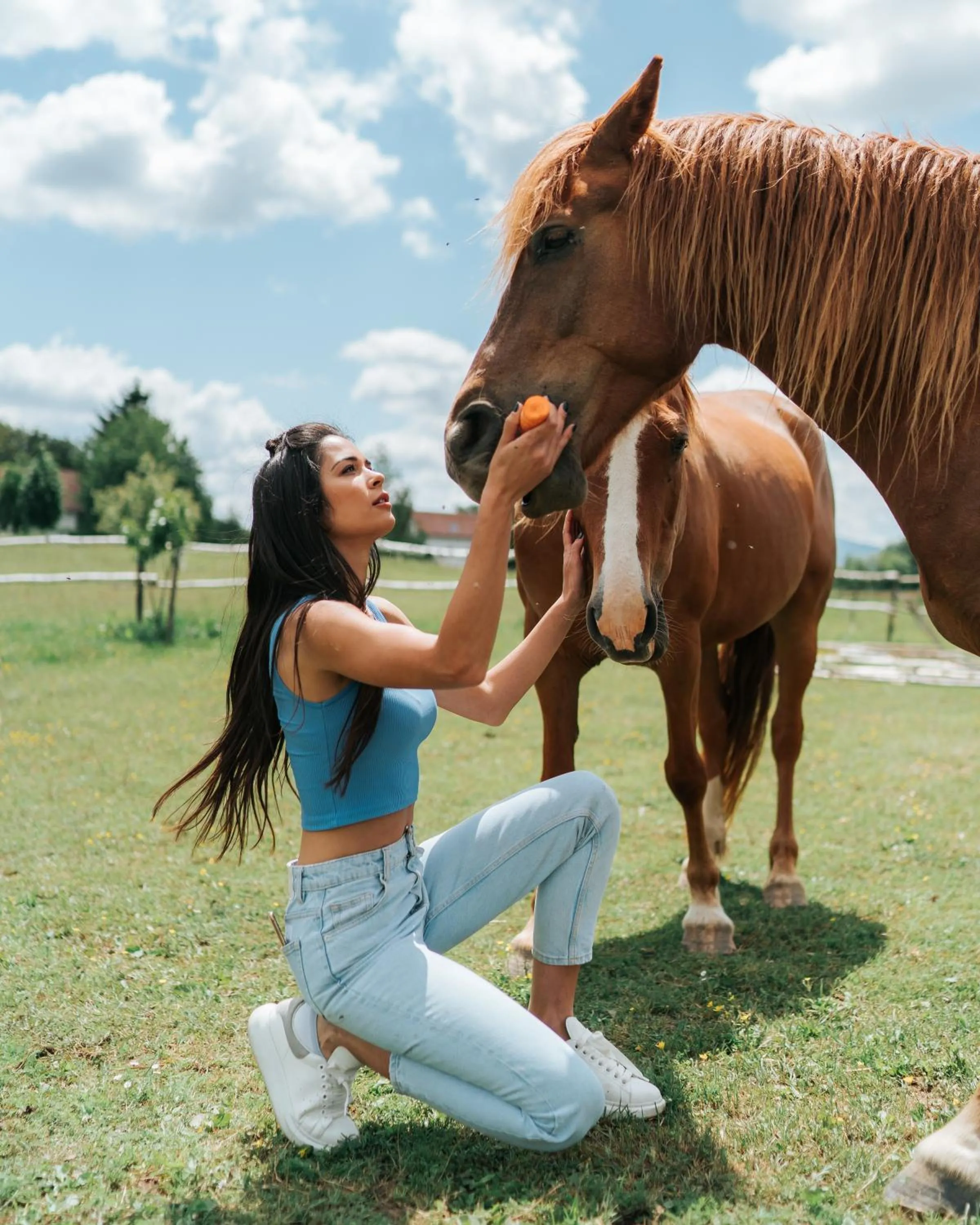 Animals in Ranch Terra