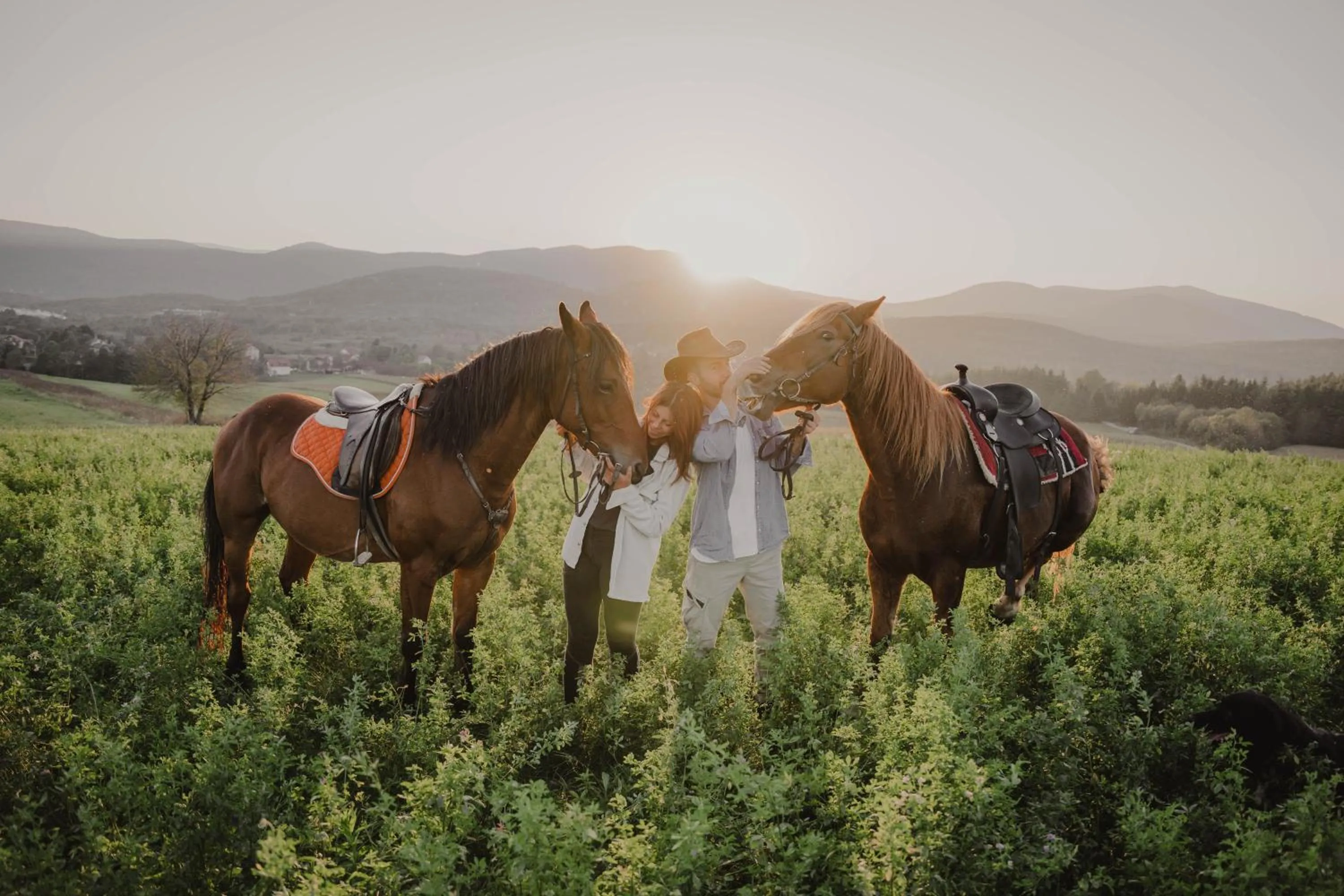 Horse-riding in Ranch Terra