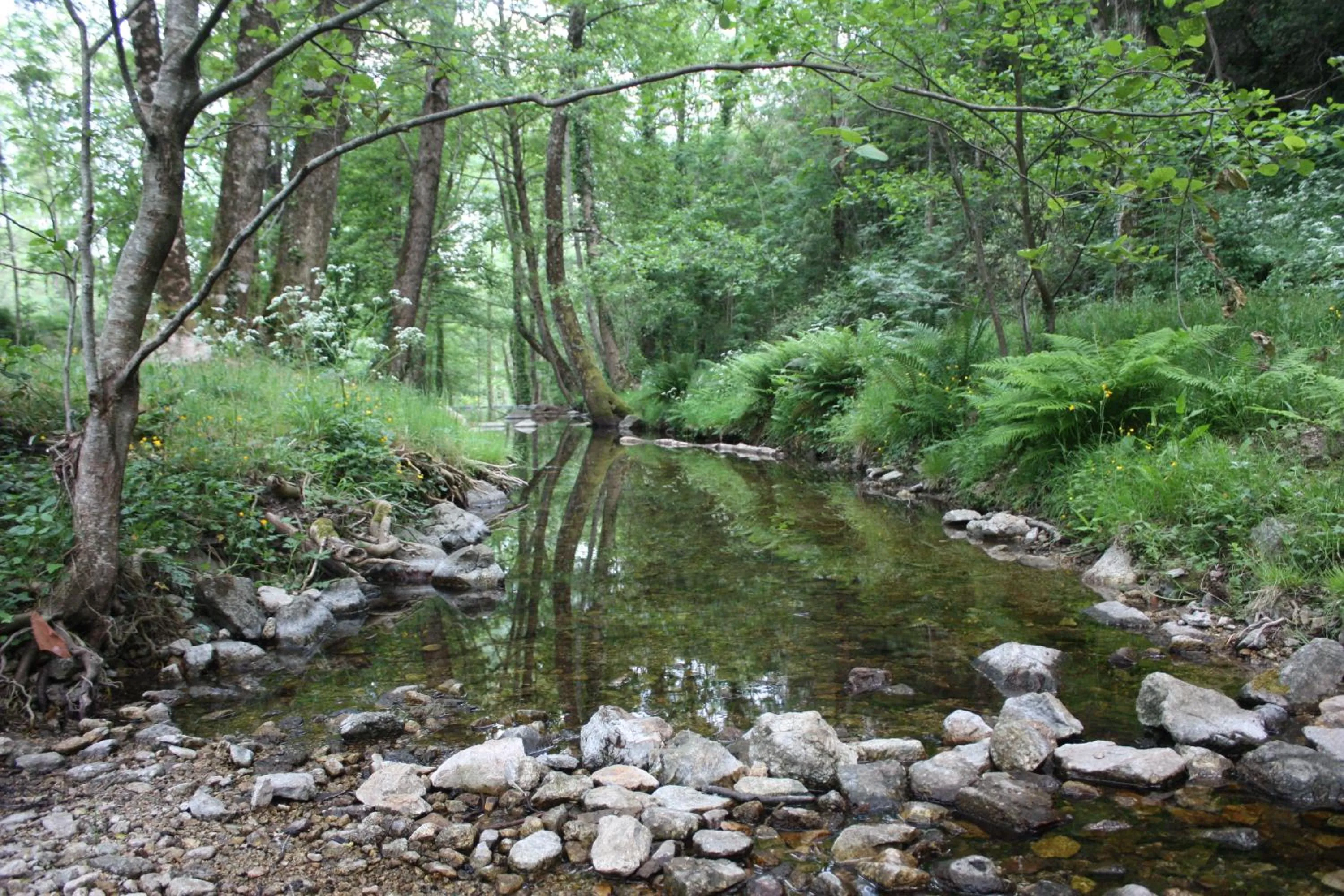 River view in Mas des Nabières