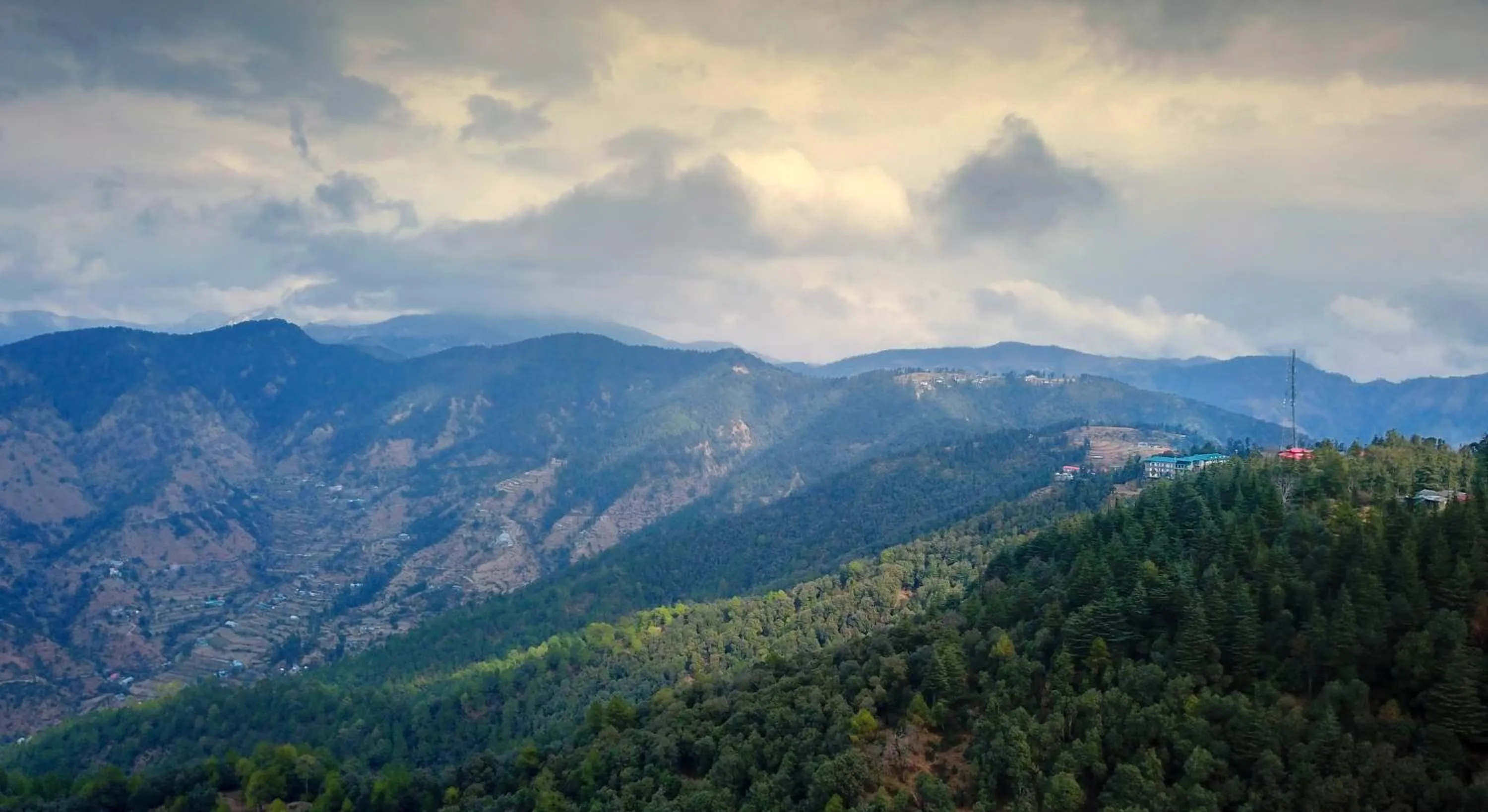 Natural landscape in TreeHouse Chail Villas
