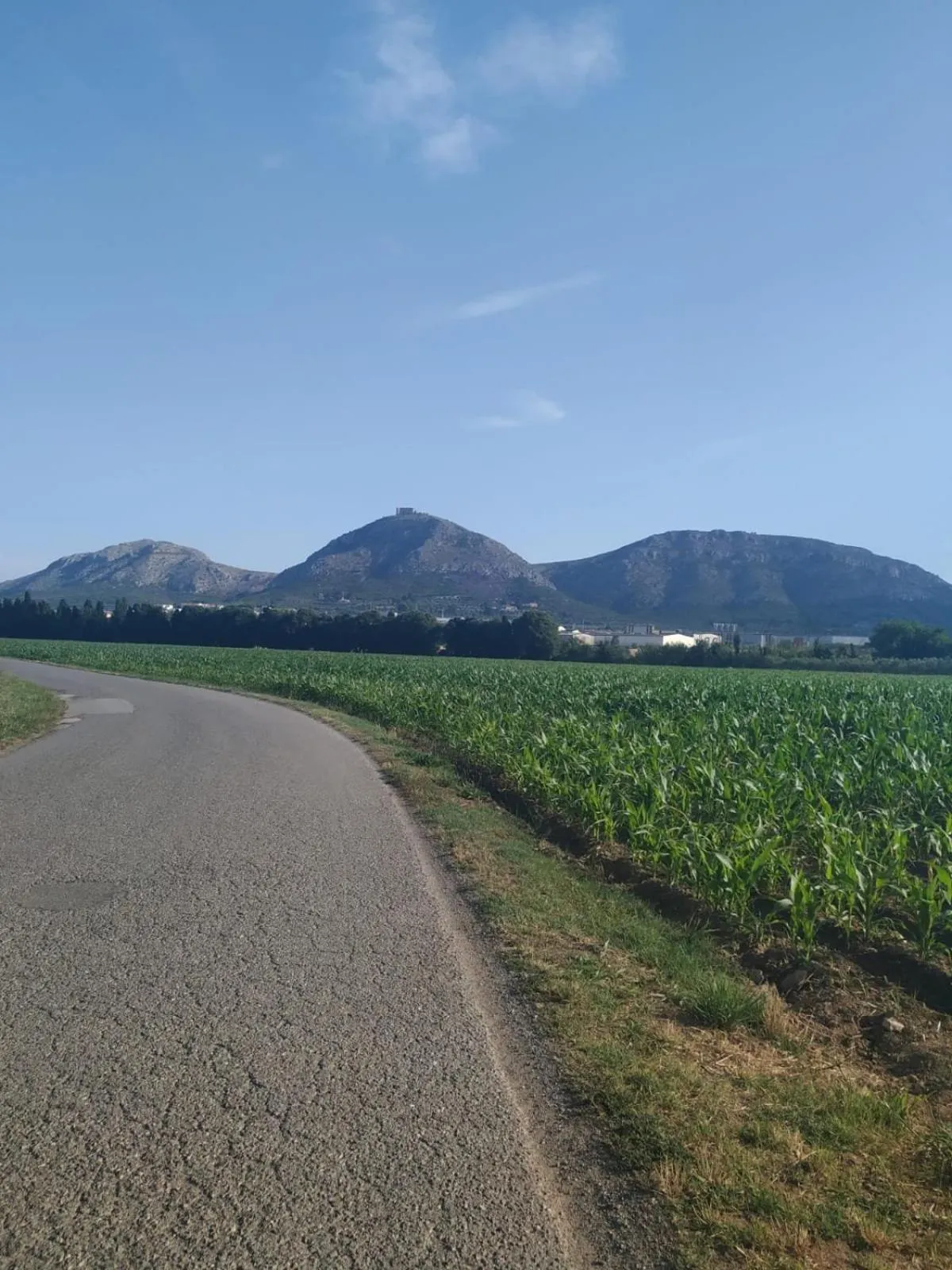 Natural landscape in Mas Ferran Adults Only