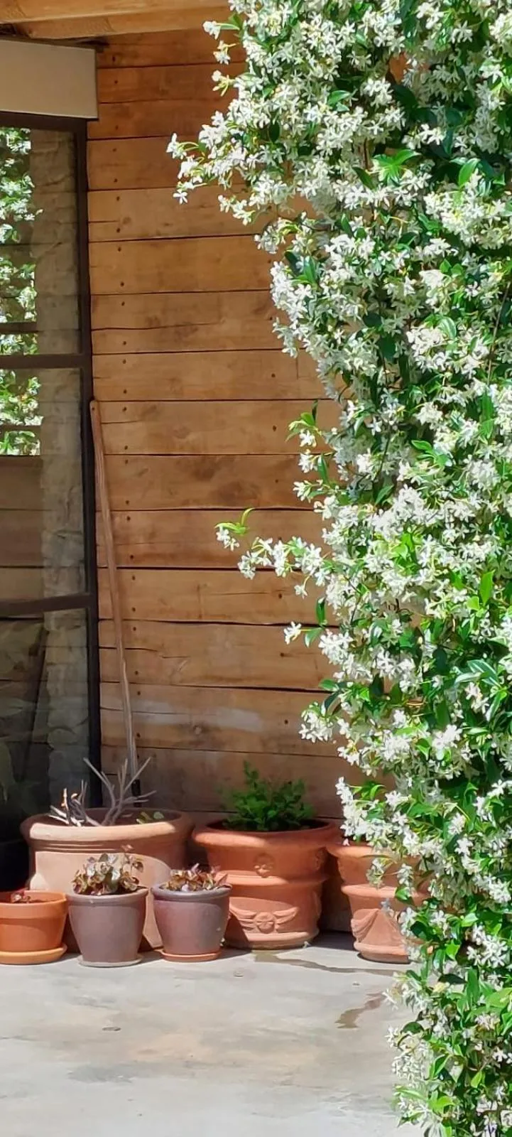 Garden in Mas Ferran Adults Only