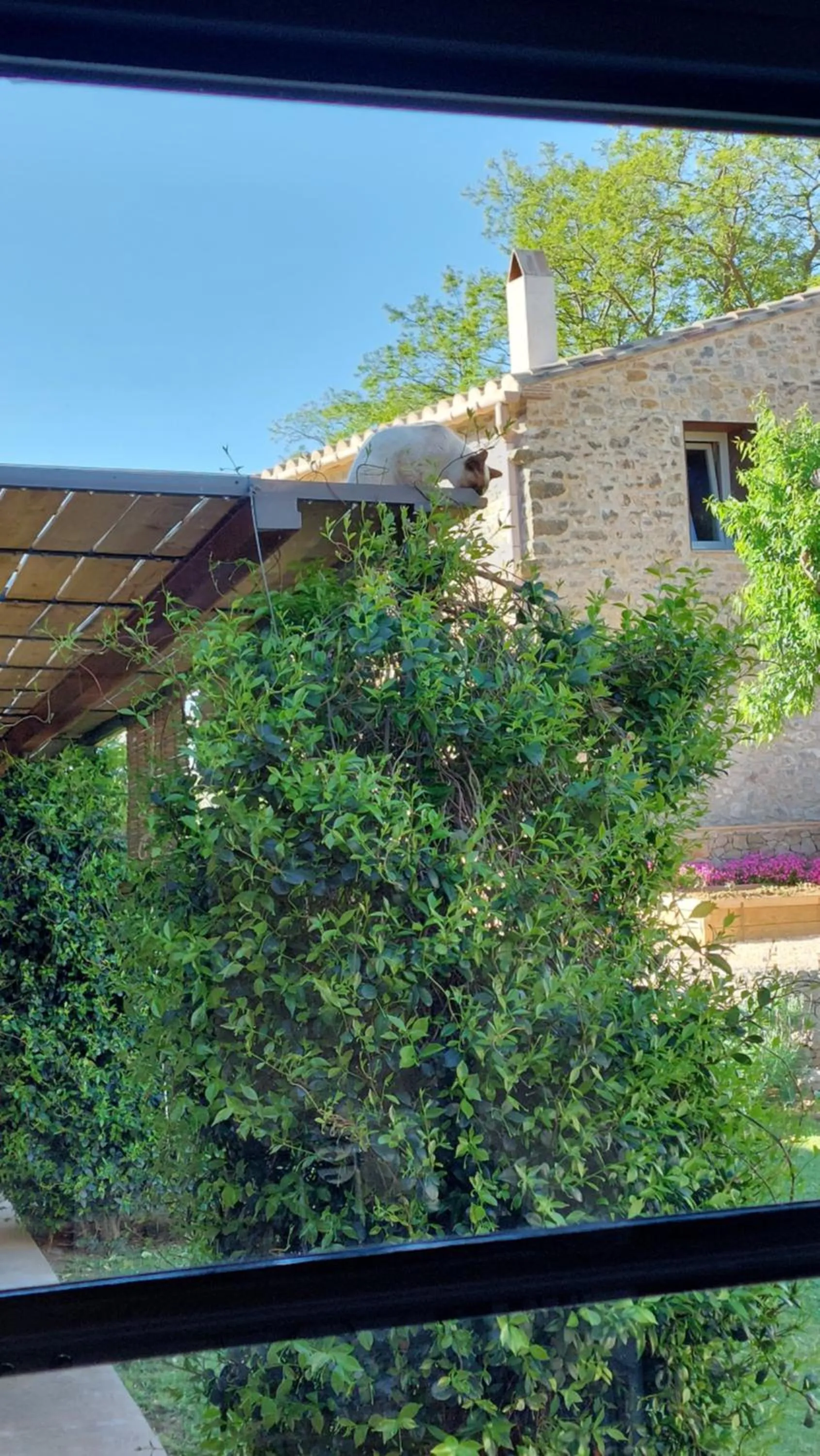 Property building in Mas Ferran Adults Only