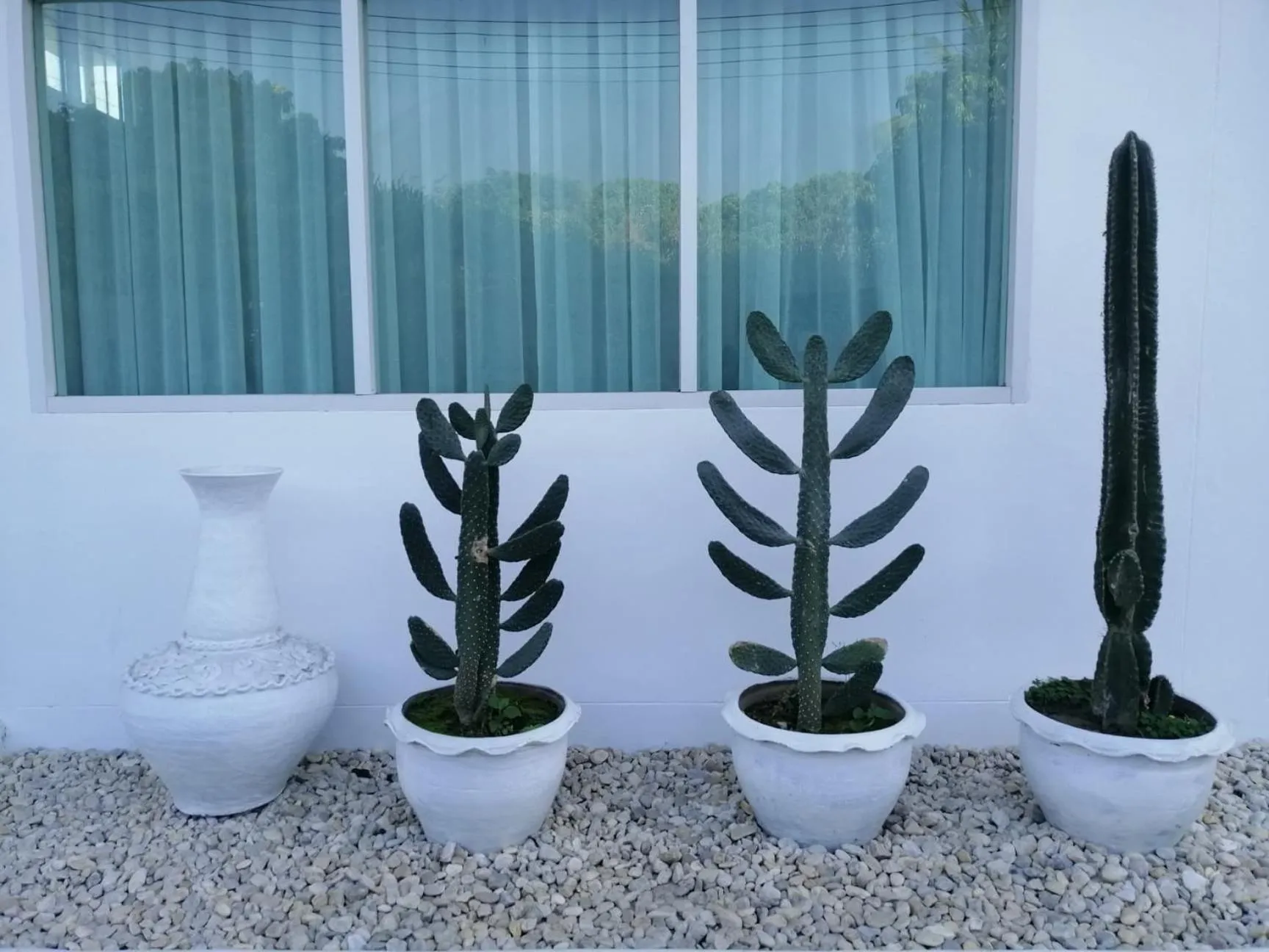 PATRA Agaligotel