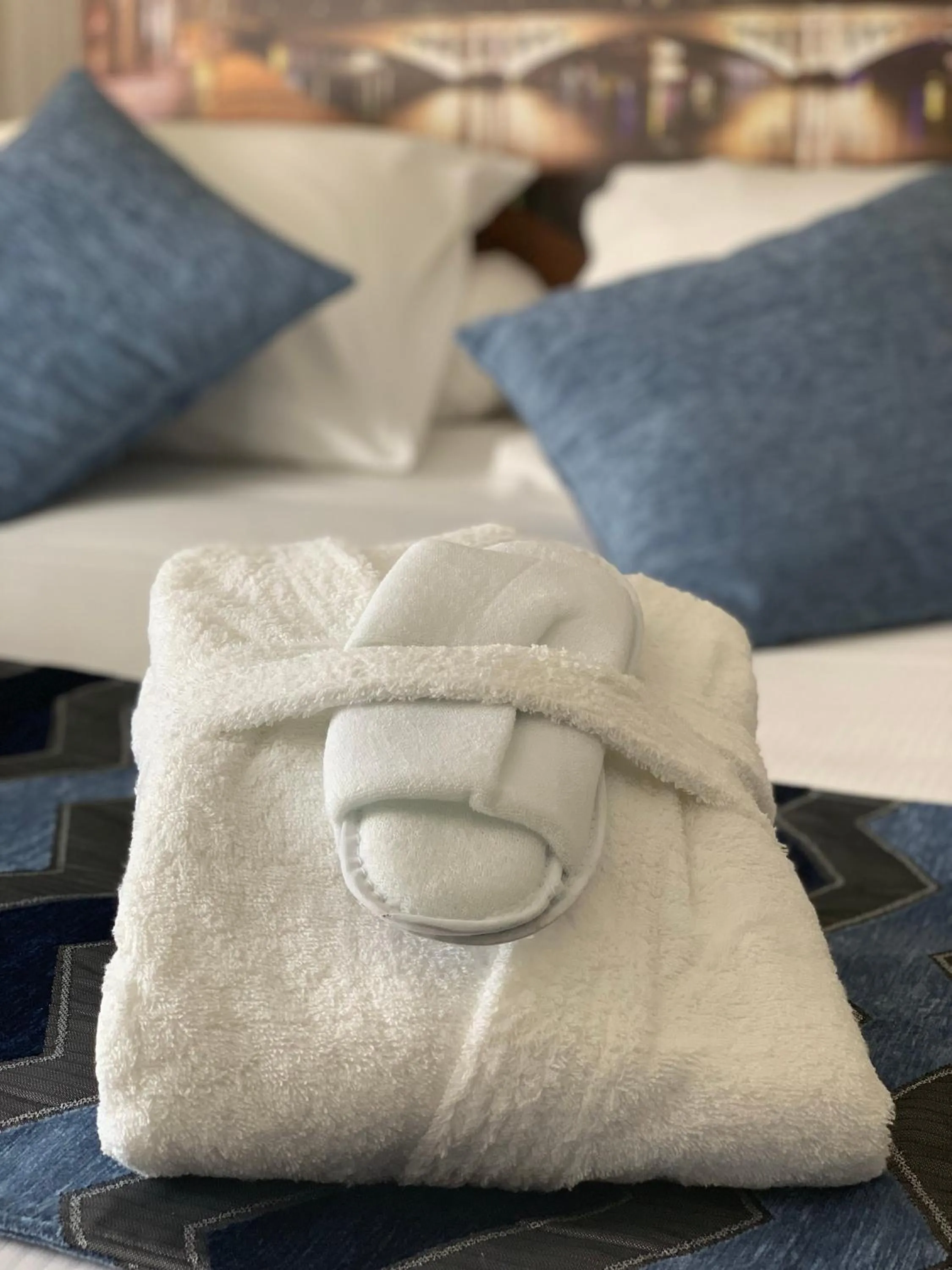 Decorative detail, Bed in Hôtel Saphir Lyon