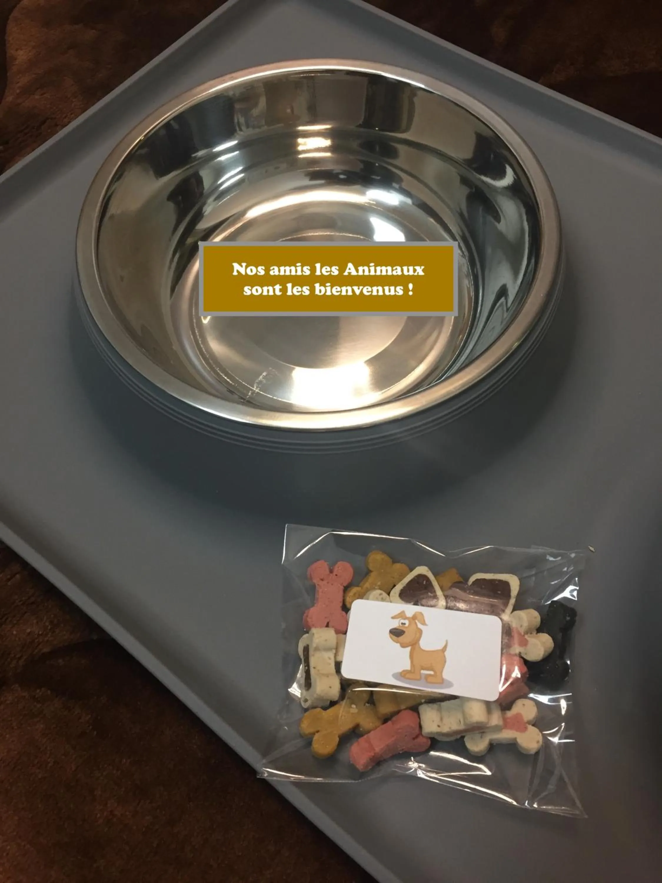 Animals in Hôtel Saphir Lyon