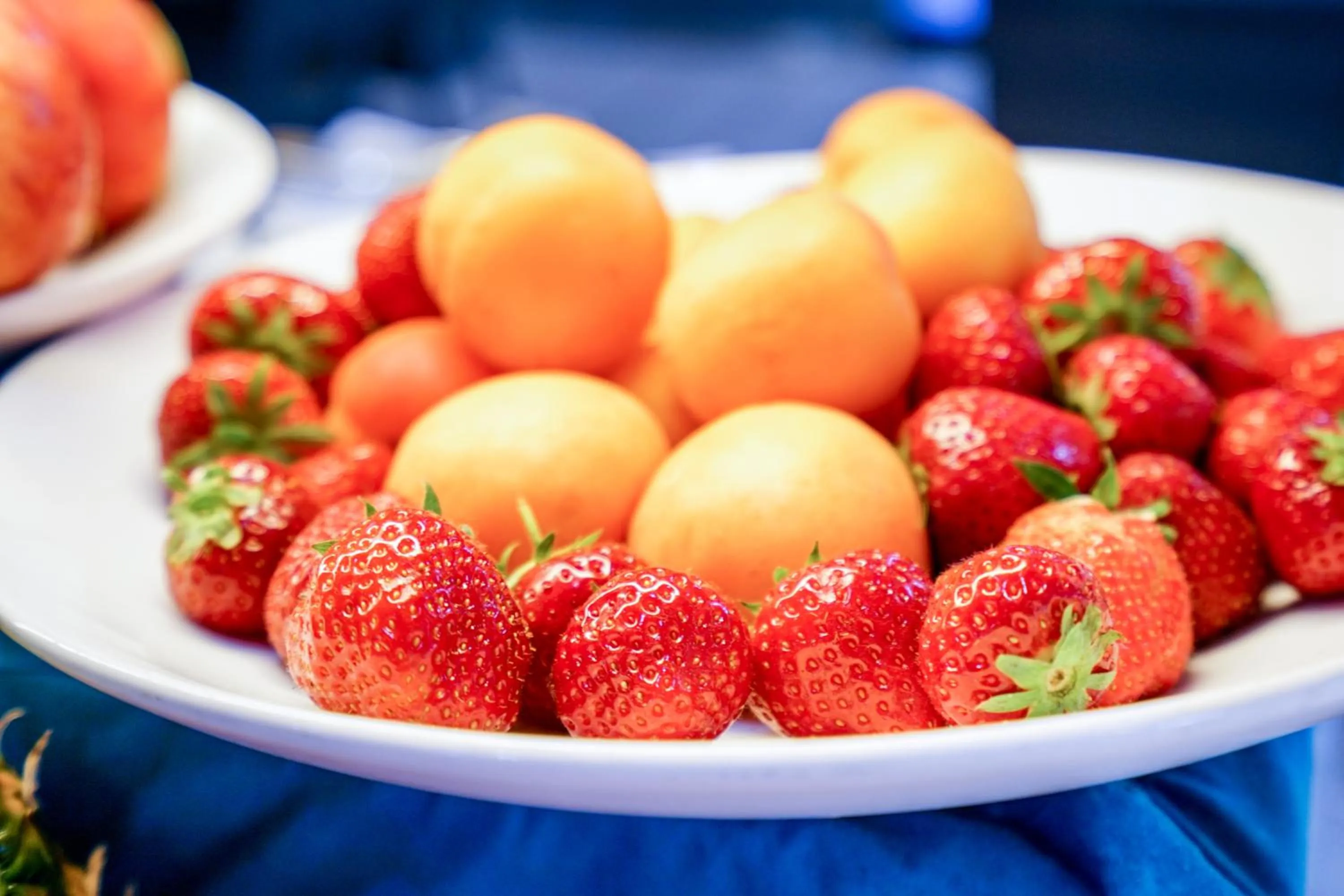 Food and drinks in Hôtel Saphir Lyon