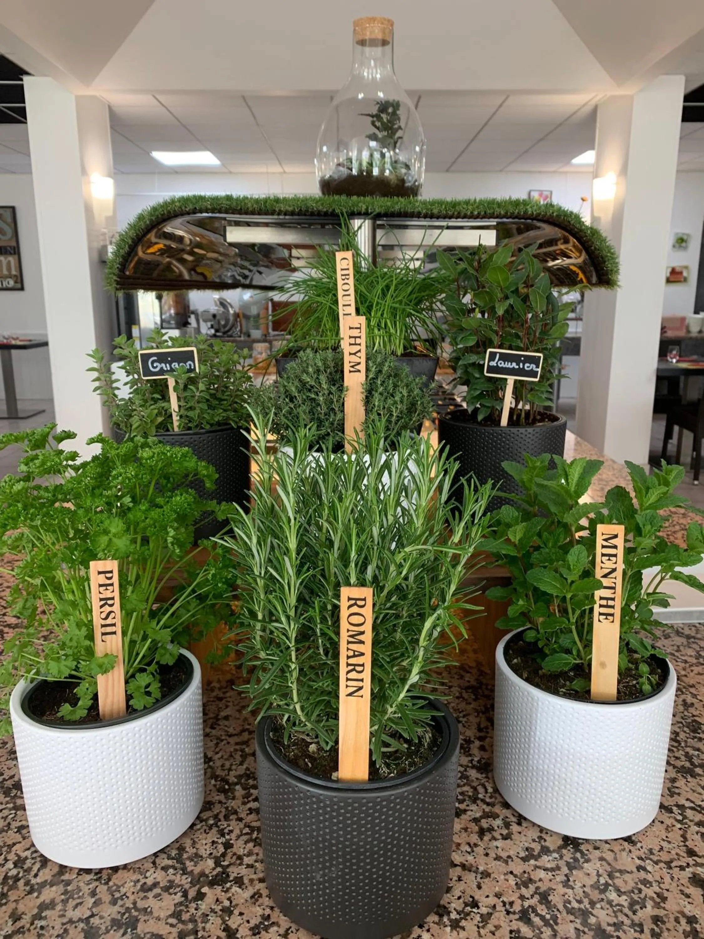 Restaurant/places to eat in Hôtel Saphir Lyon