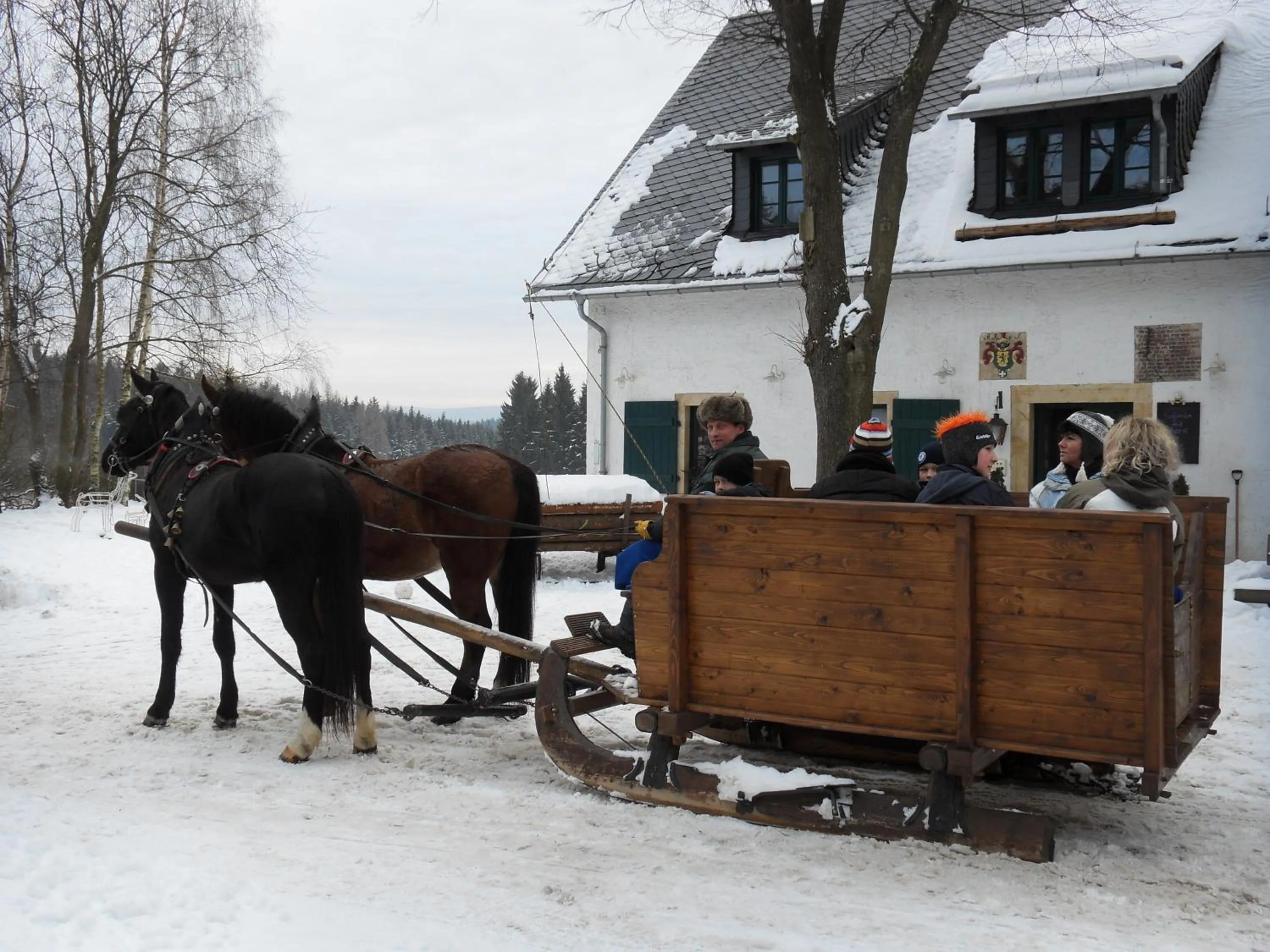 Animals in Altsächsischer Gasthof Kleines Vorwerk