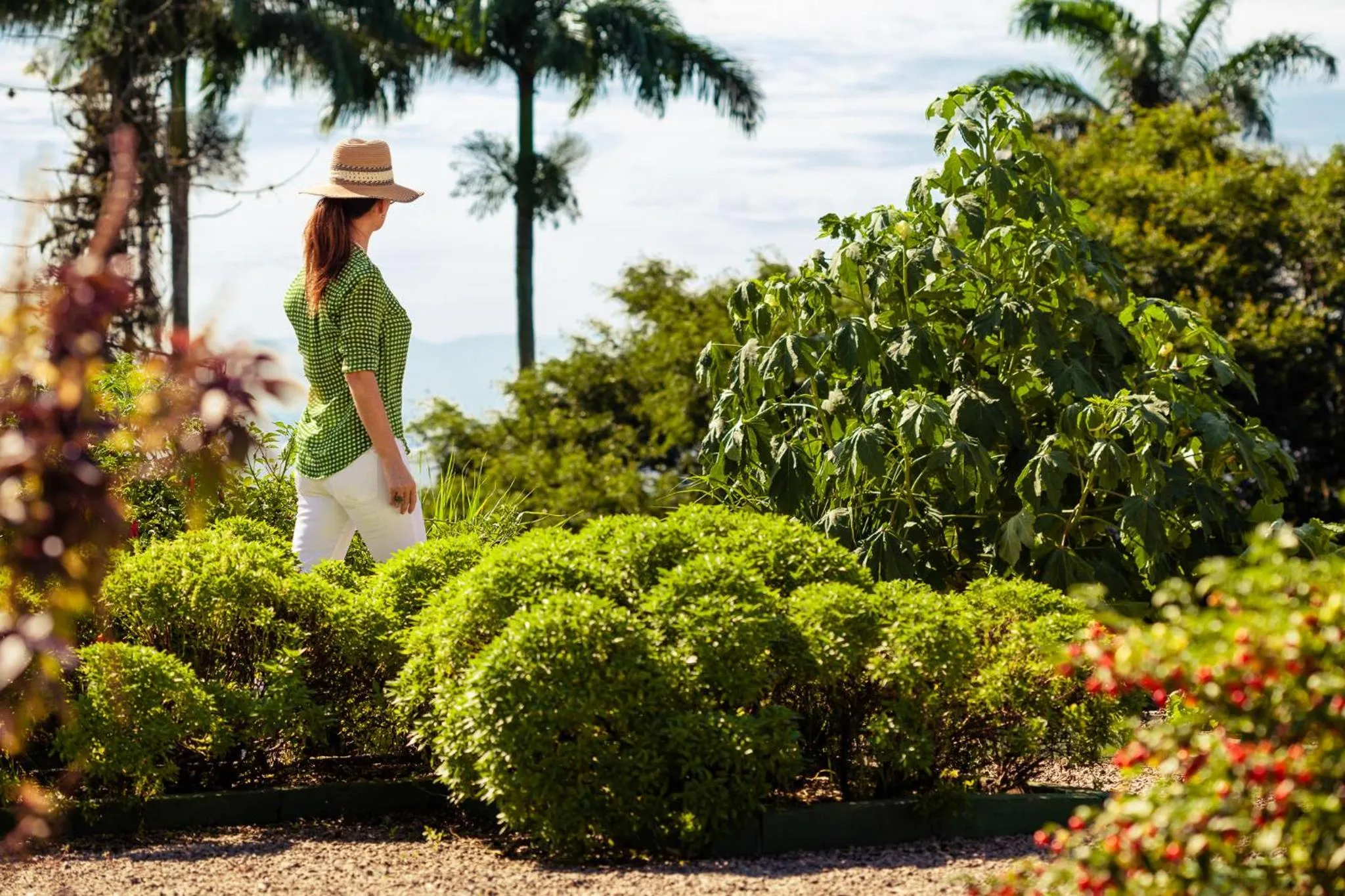 Garden in Vila Santa Teresa