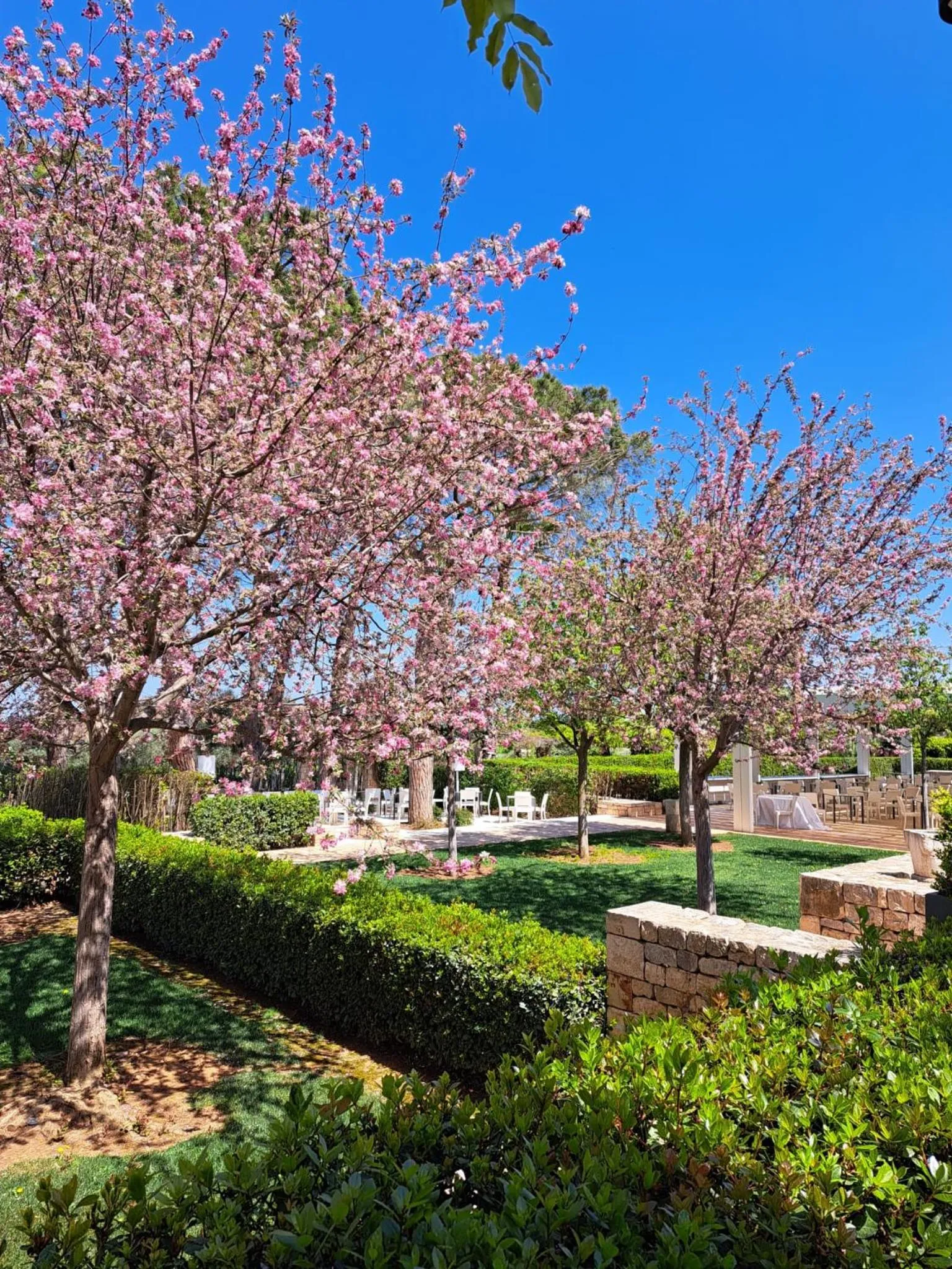 Garden in Relais Il Santissimo