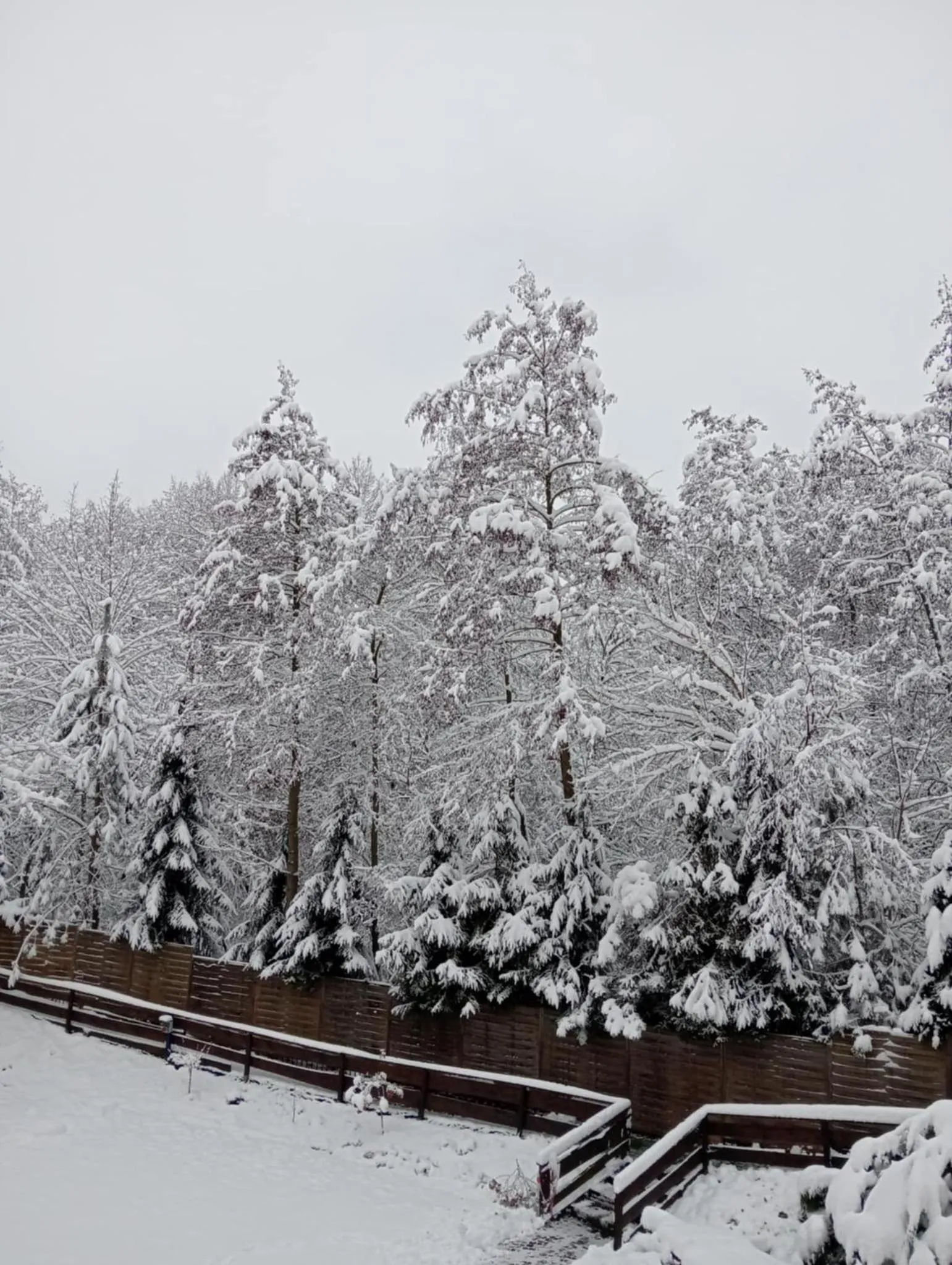 Salis Resort