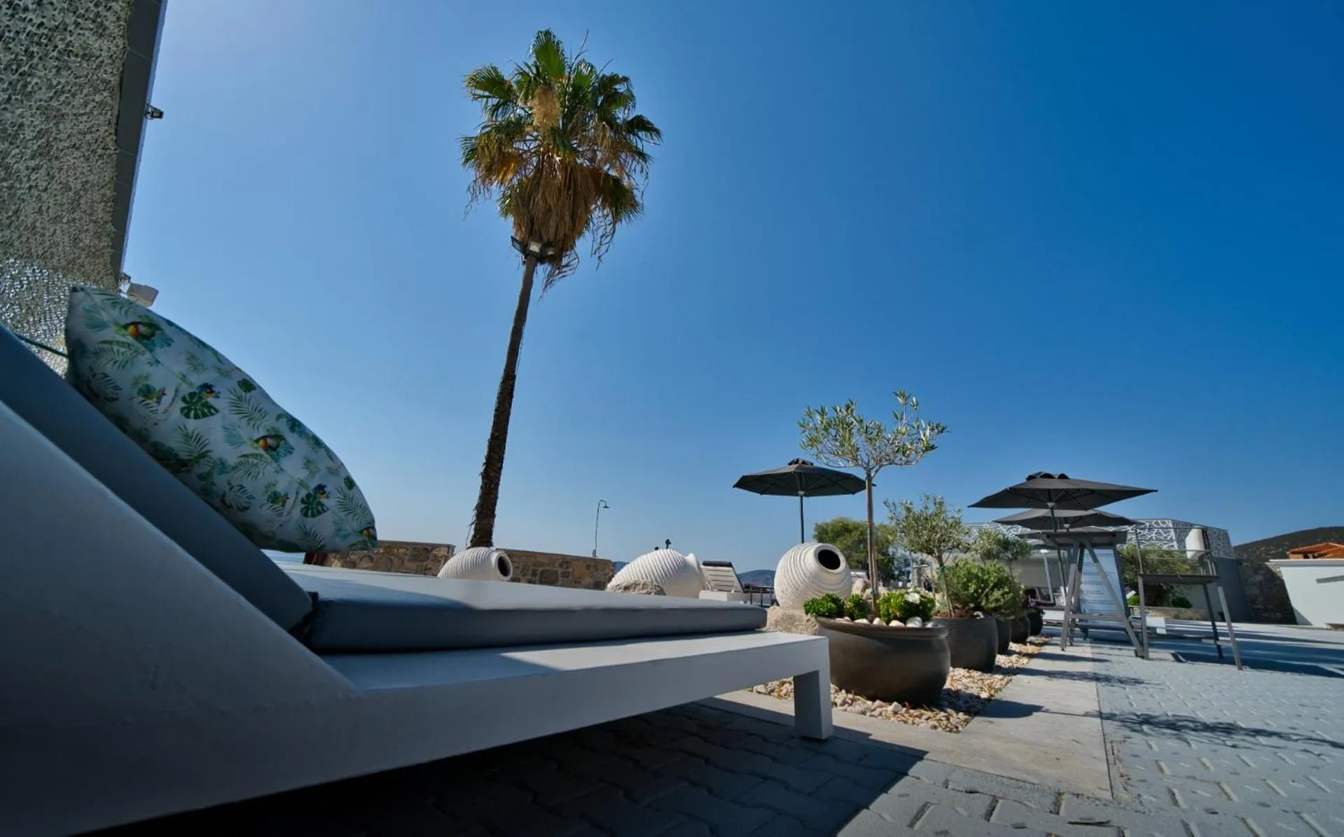 Swimming pool in Dardiza Boutique Hotel