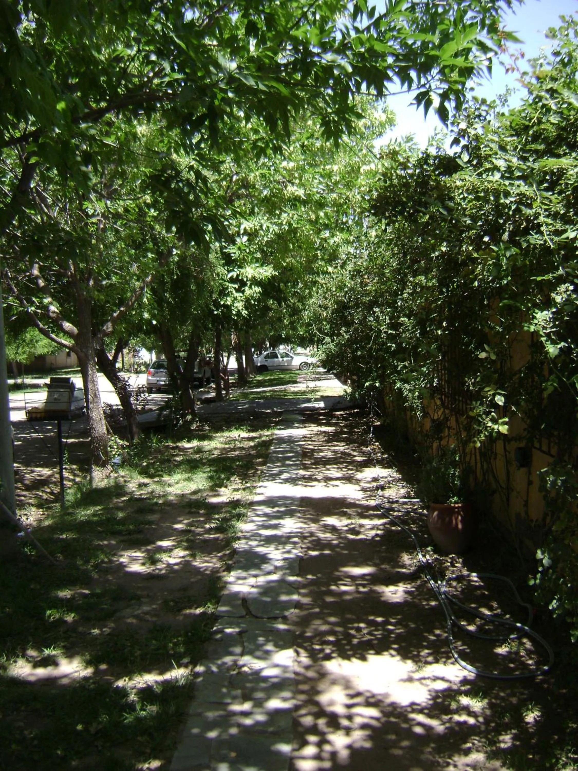 Departamento el Rosedal