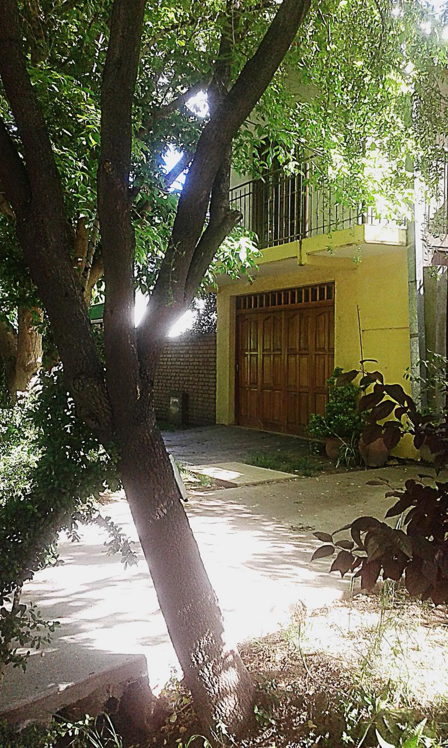 Departamento el Rosedal