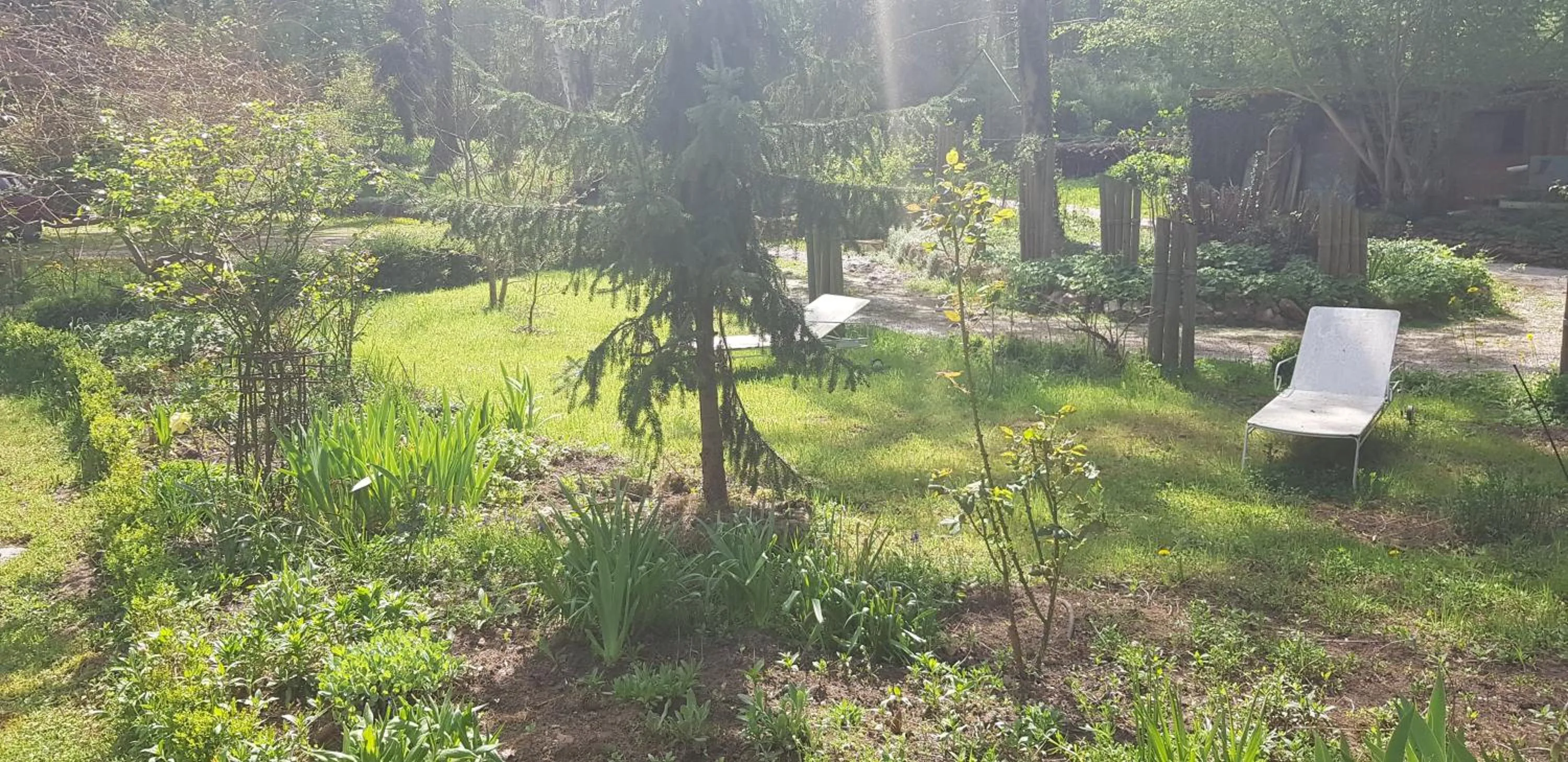 Garden in Le jardin de Saint Jean