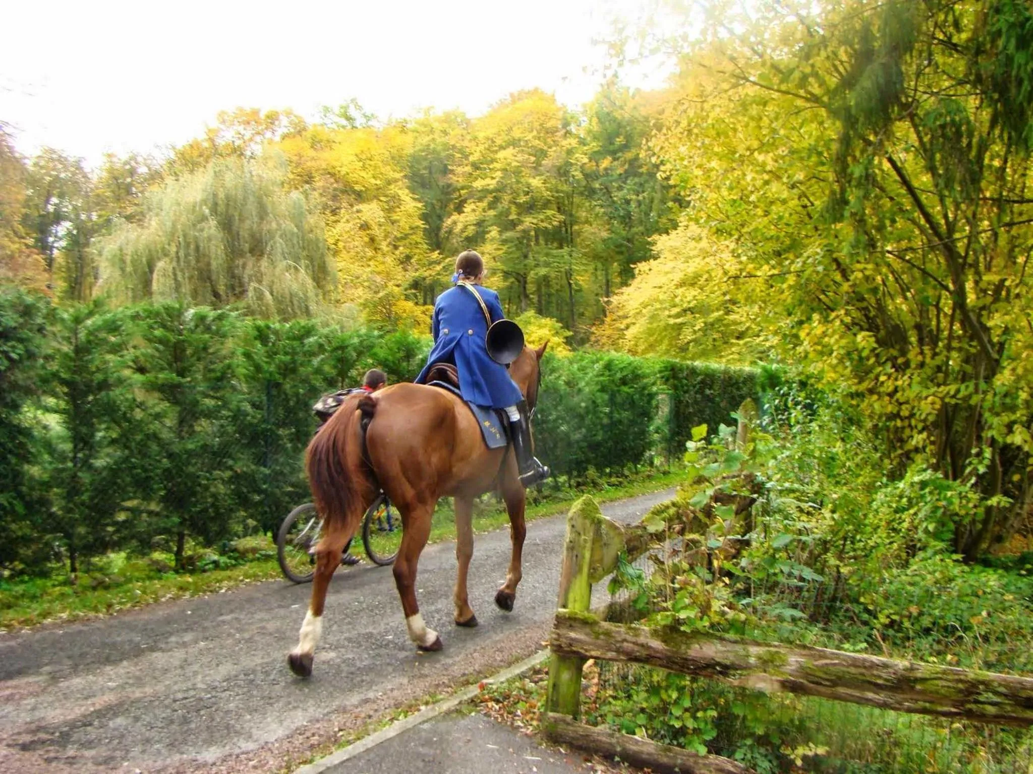 Animals in Le jardin de Saint Jean