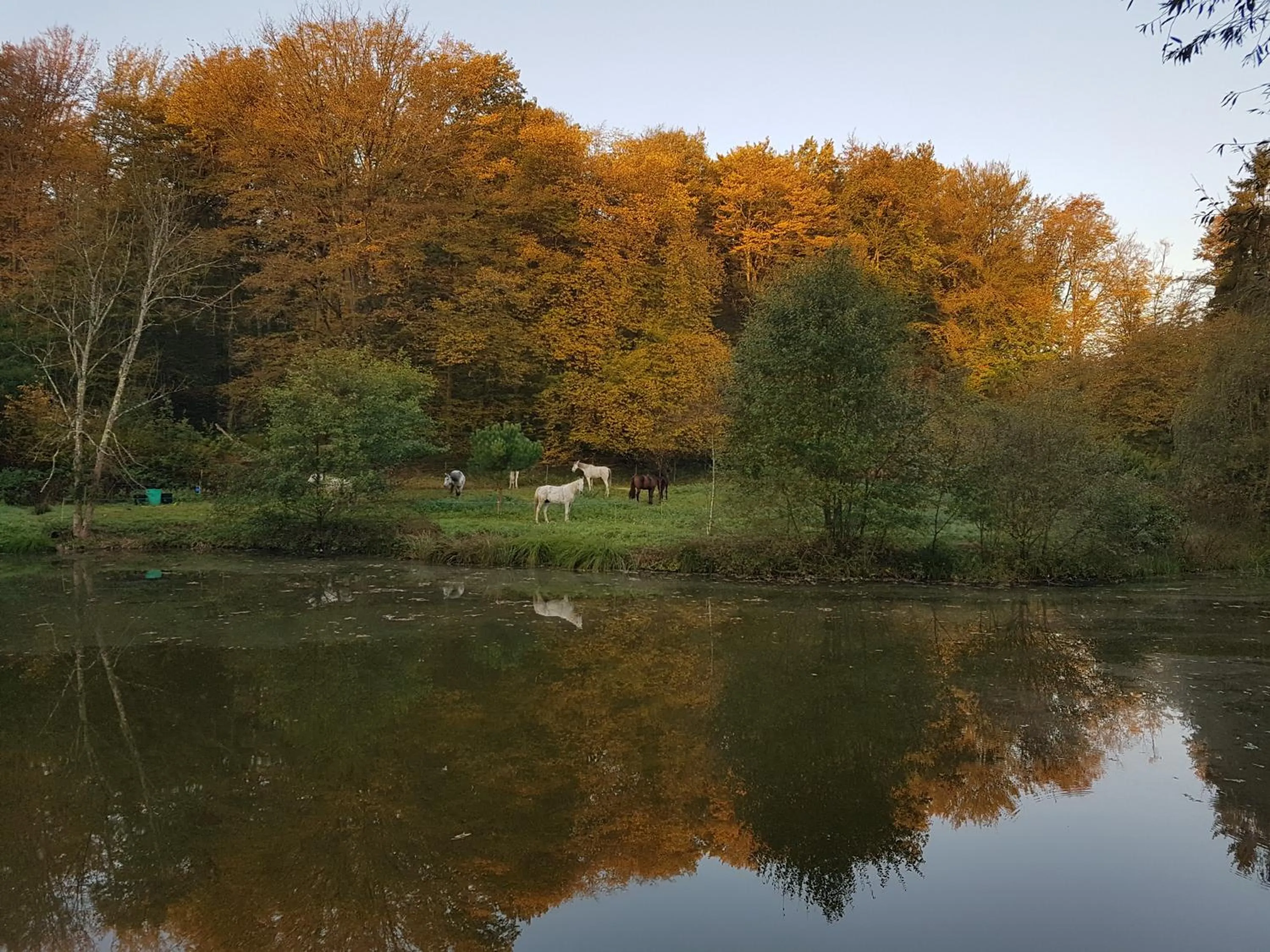 Fishing in Le jardin de Saint Jean