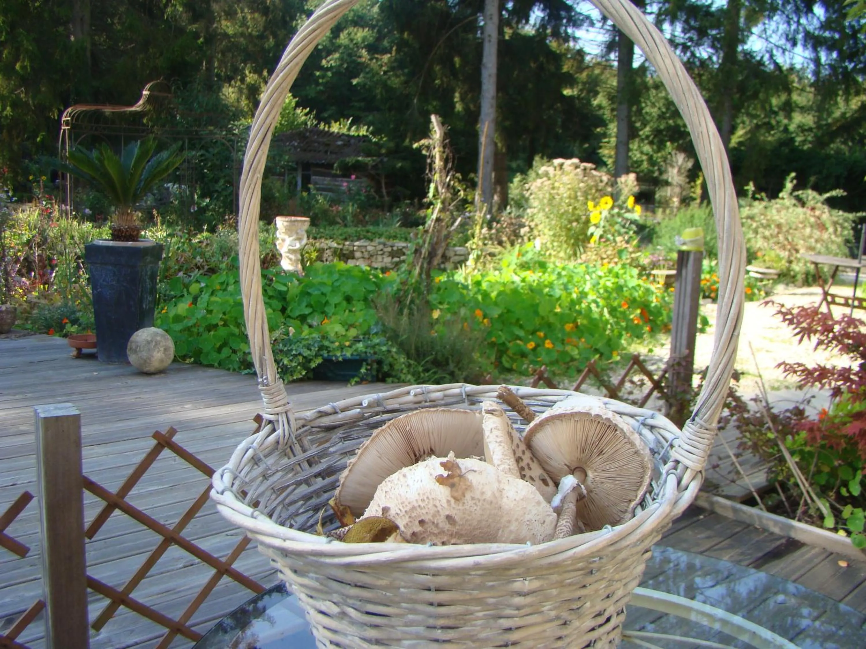 Food in Le jardin de Saint Jean