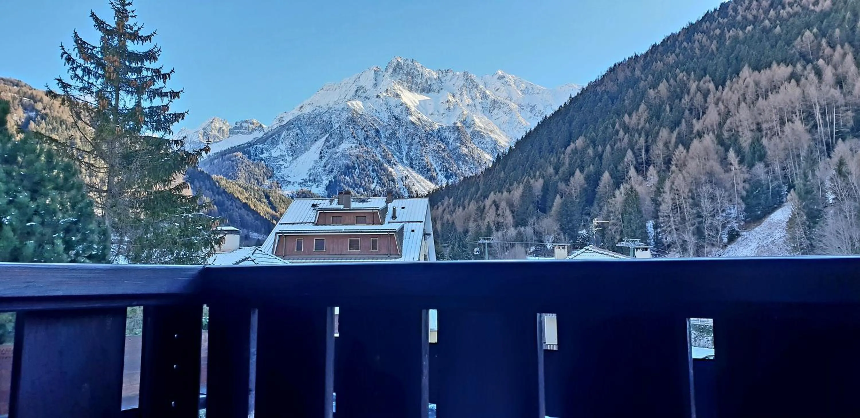 Photo of the whole room in Hotel Mignon