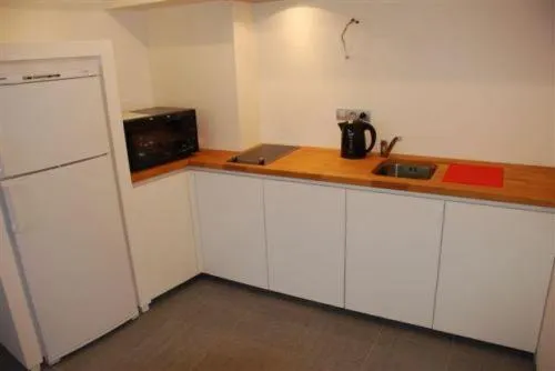 Kitchen or kitchenette in Aparthotel Malpertuus