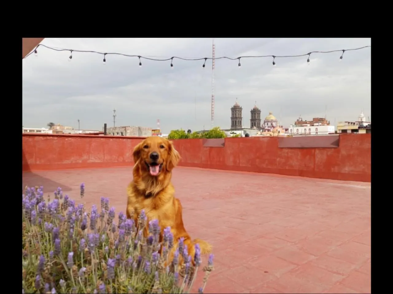 Balcony/Terrace in Hotel Rincón Poblano