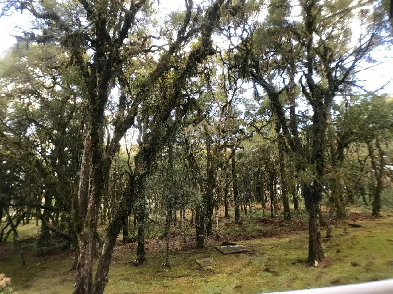 Day in Laje de Pedra Mountain VillagePrime