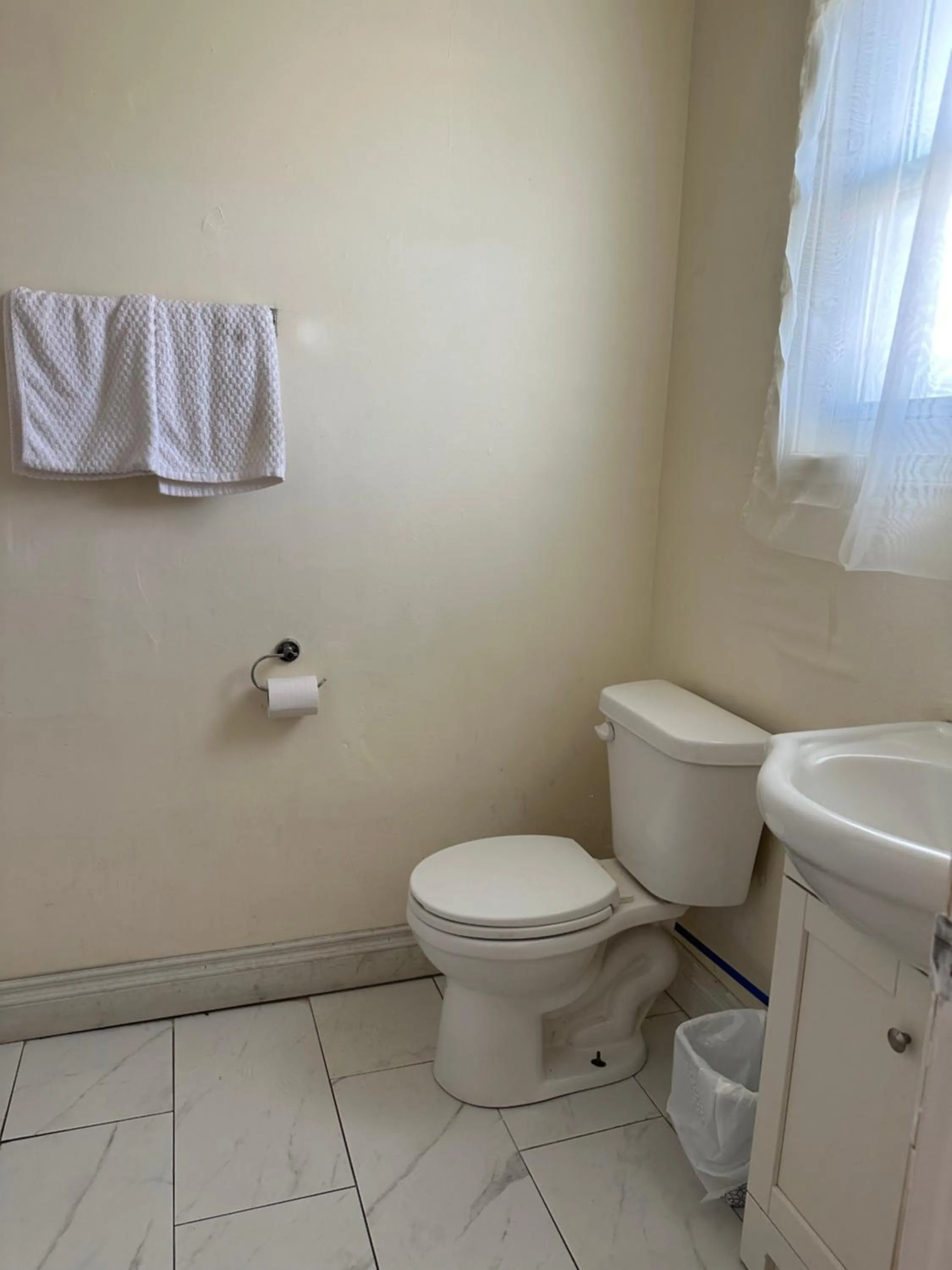 Toilet in Carriage Inn Motel