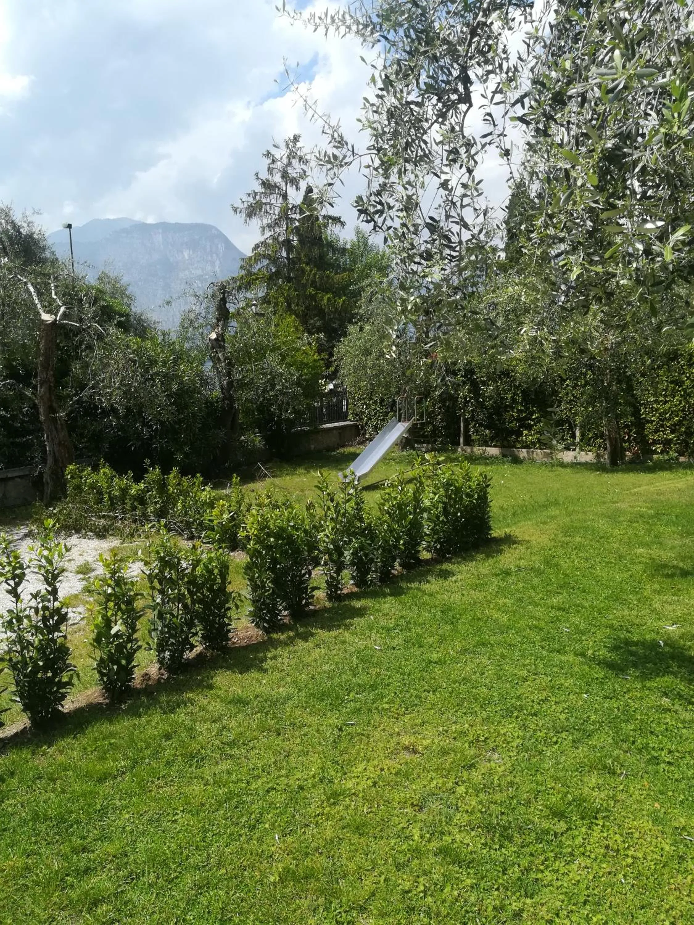 Garden in Hotel Villa Isabella