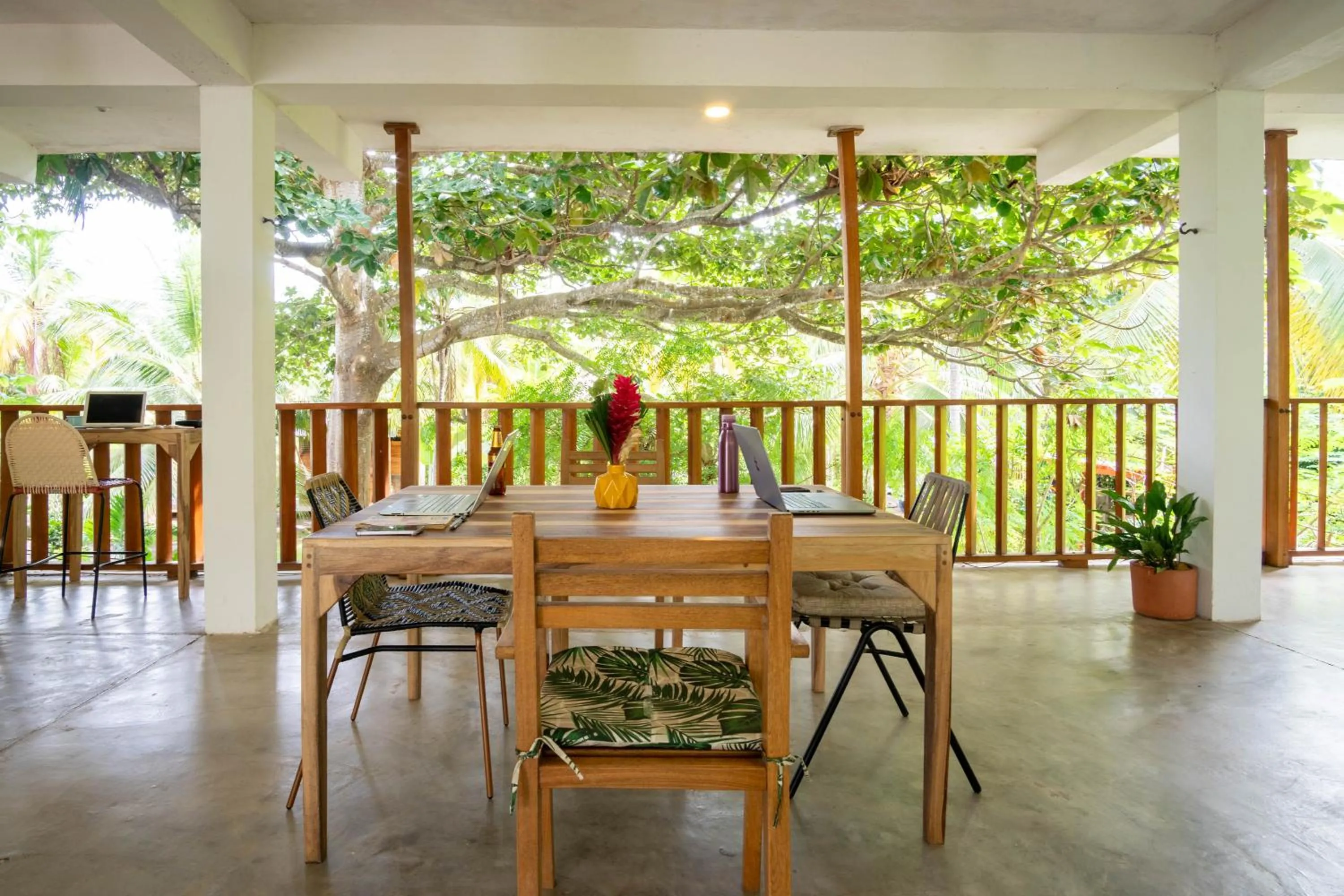 View (from property/room) in Casa Chapolin Boutique Guesthouse