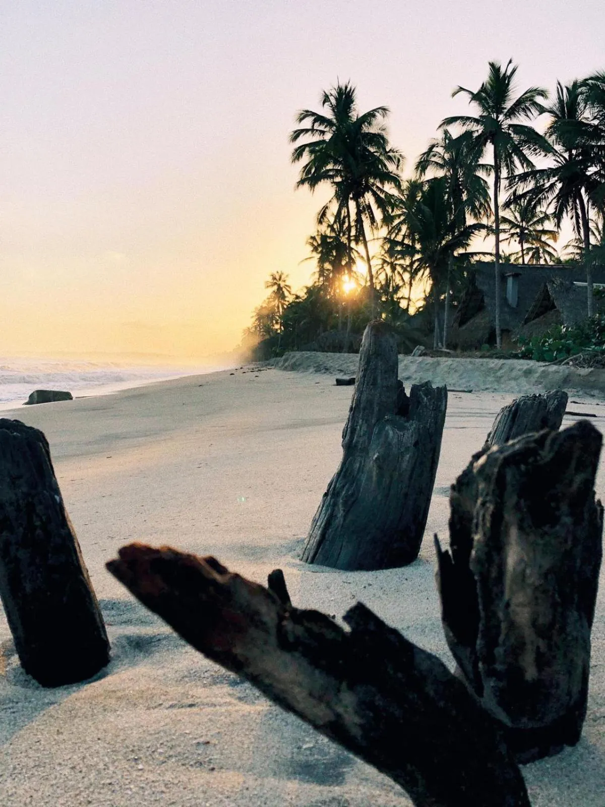 Beach in Casa Chapolin Boutique Guesthouse