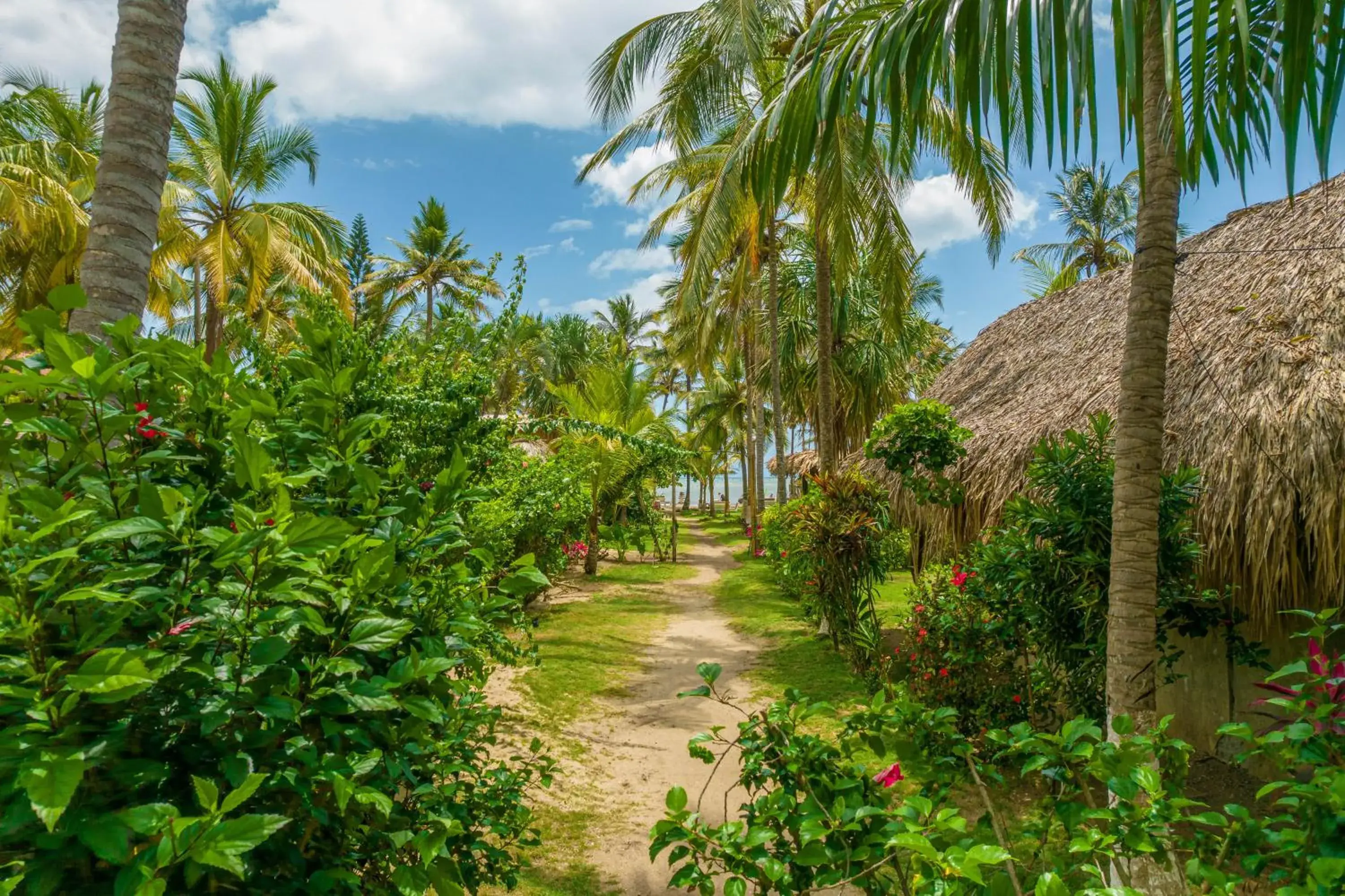 Bungalow - Beach Front in Casa Chapolin Boutique Guesthouse Bungalow - Beach Front in Casa Chapolin Boutique Guesthouse