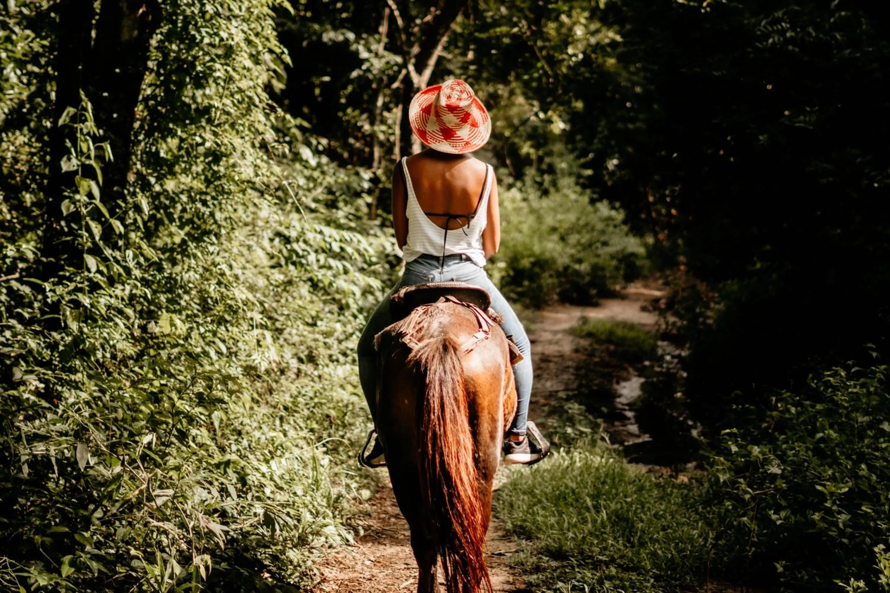 Activities in Casa Chapolin Boutique Guesthouse