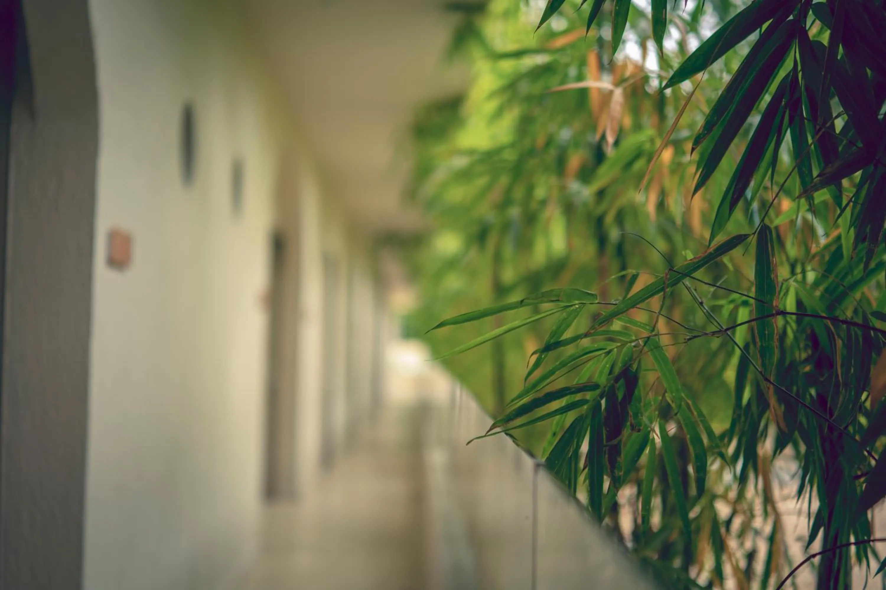 Property building in Loa Tolú by Bernalo Hotels