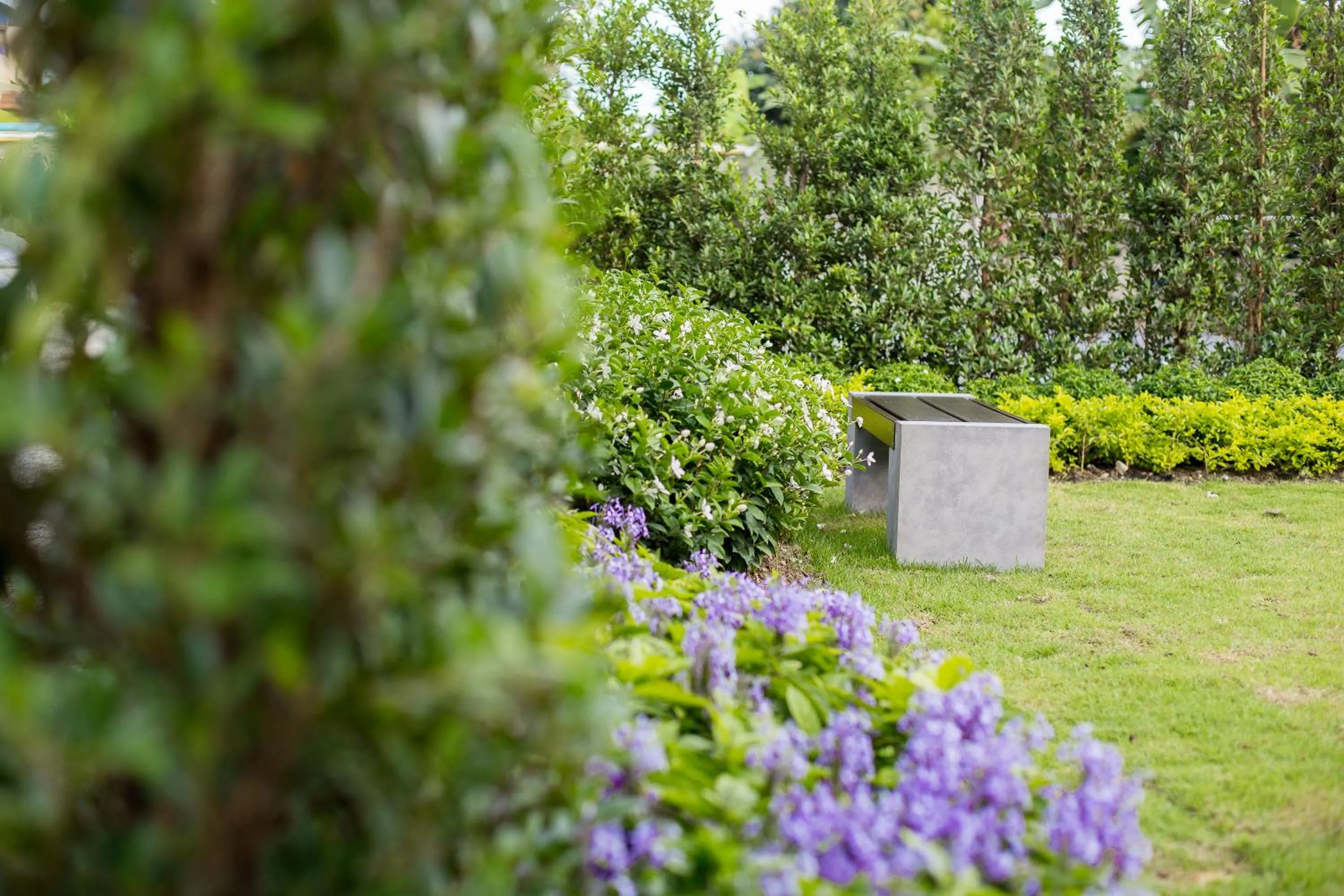 Garden in Pongsakorn Boutique Resort