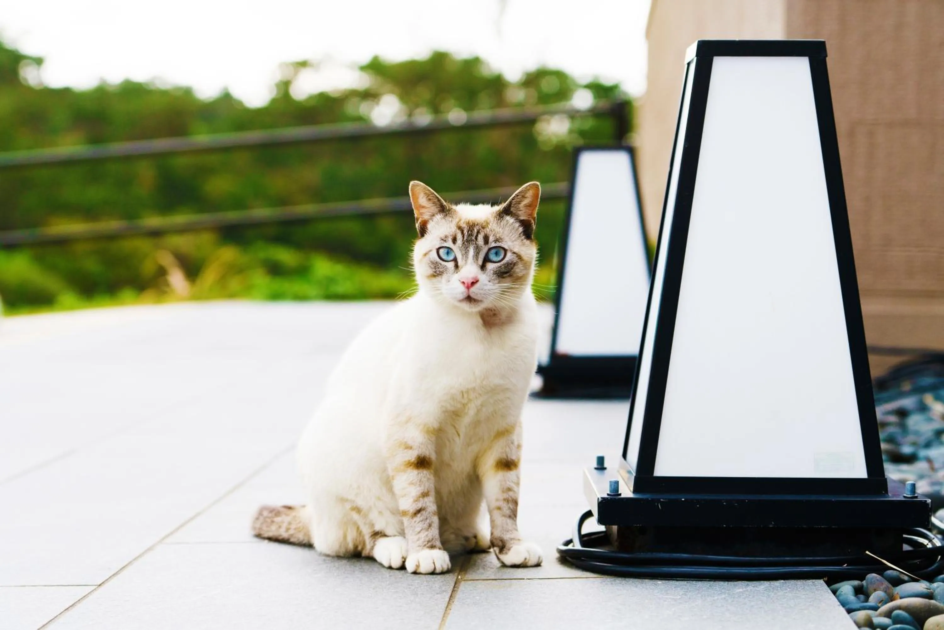 Facade/entrance in Umino Ryotei Okinawa Nakamasou