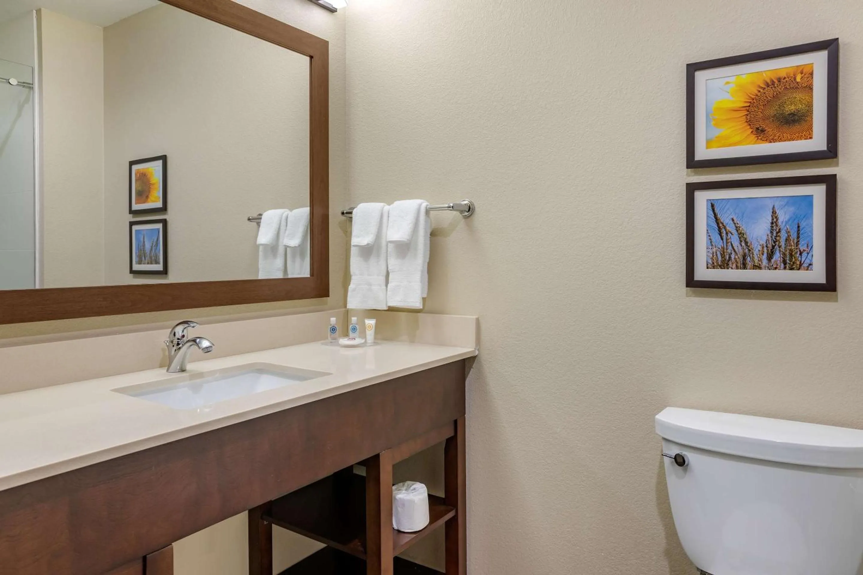 Bedroom in Comfort Inn & Suites Augusta