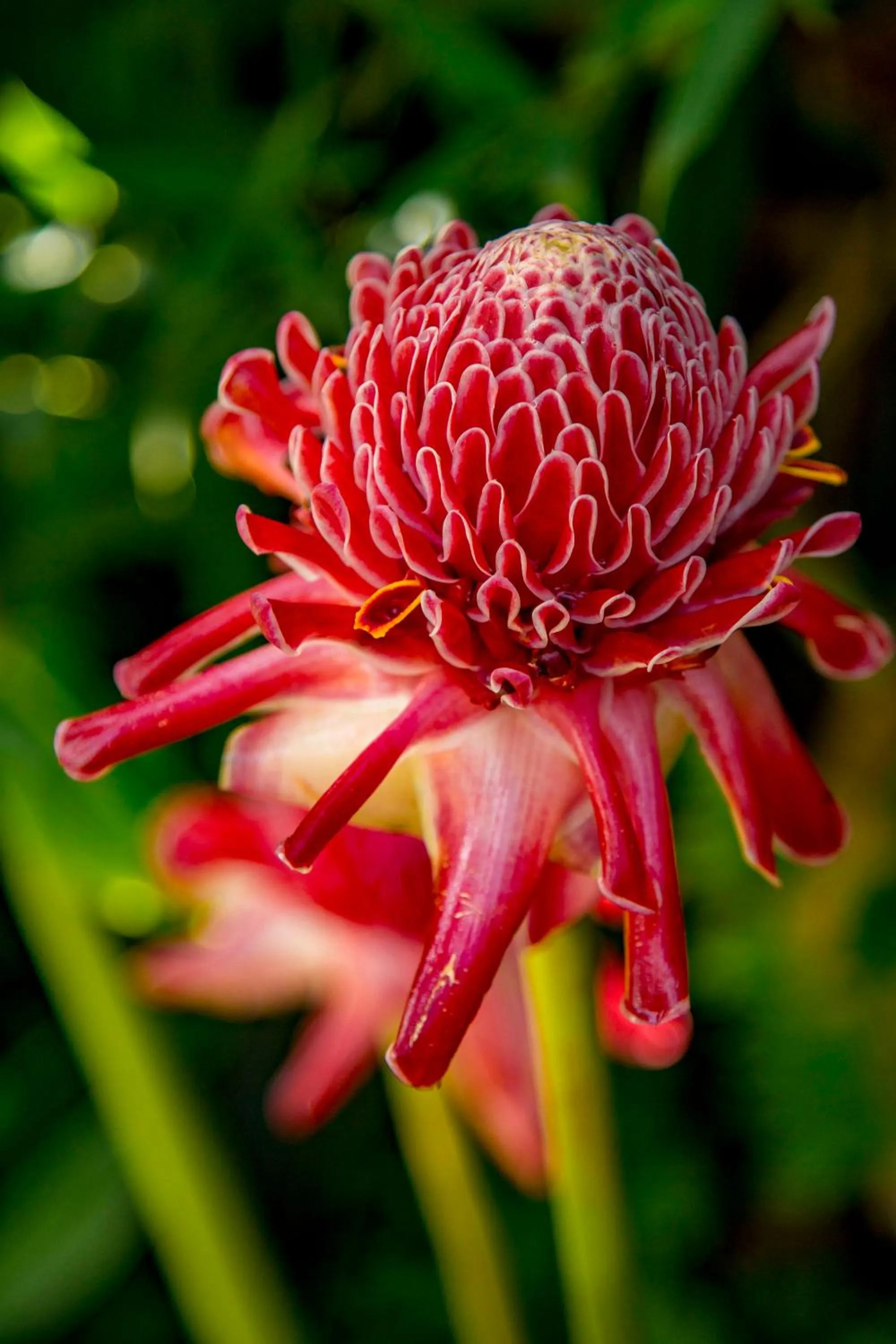 Property logo or sign in Albergaria Porcelana