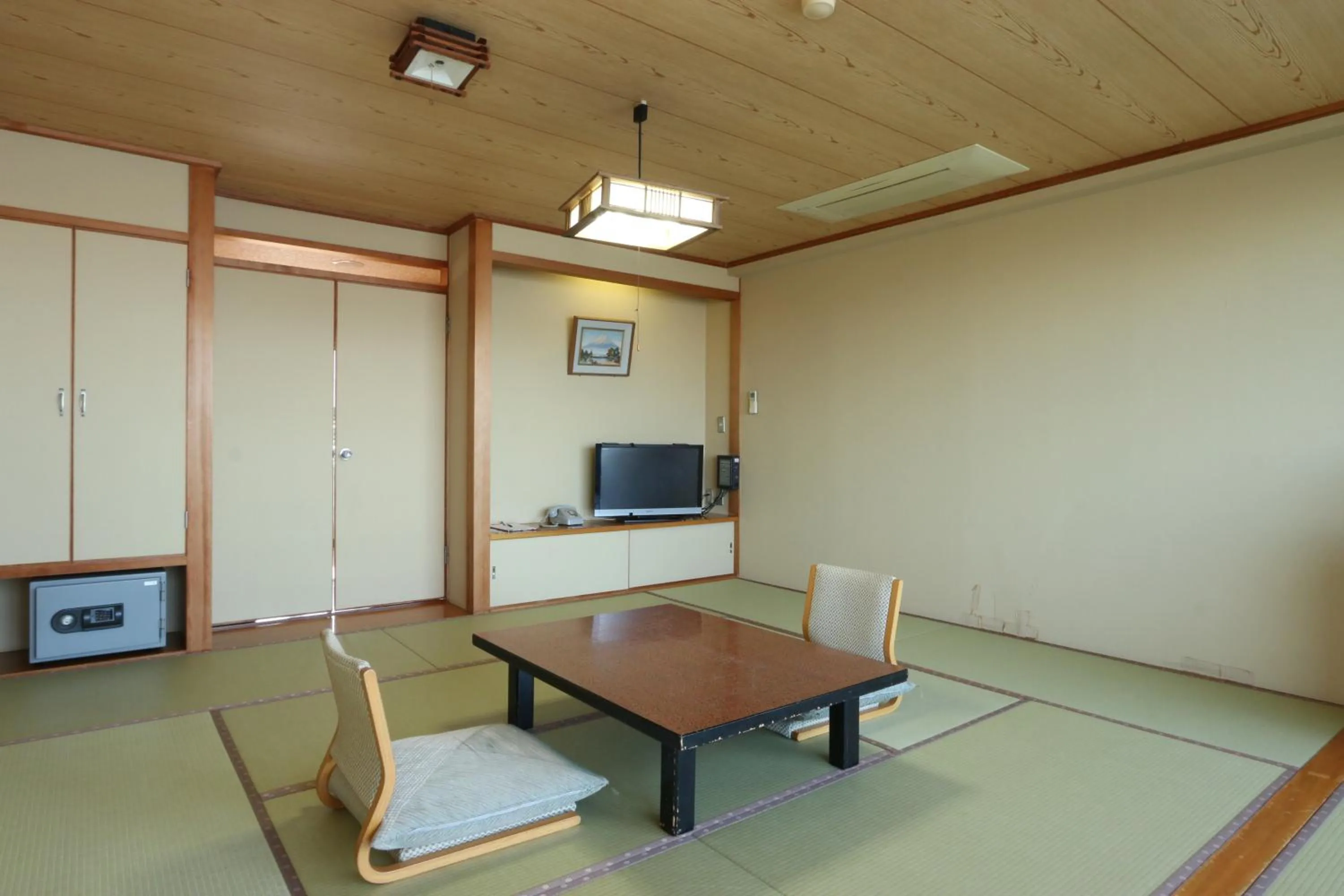 Photo of the whole room in Hotel Seikaisou