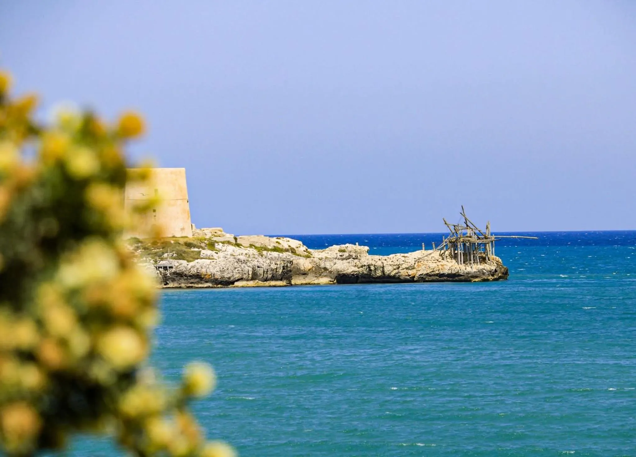 Natural landscape in Residence M3