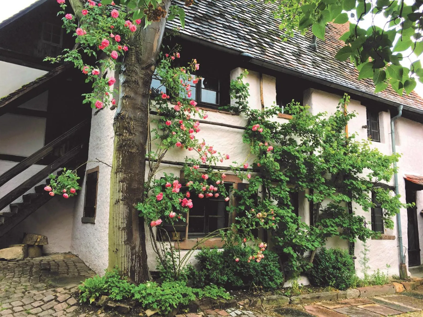 Restaurant/places to eat in 1463 Apartmenthaus