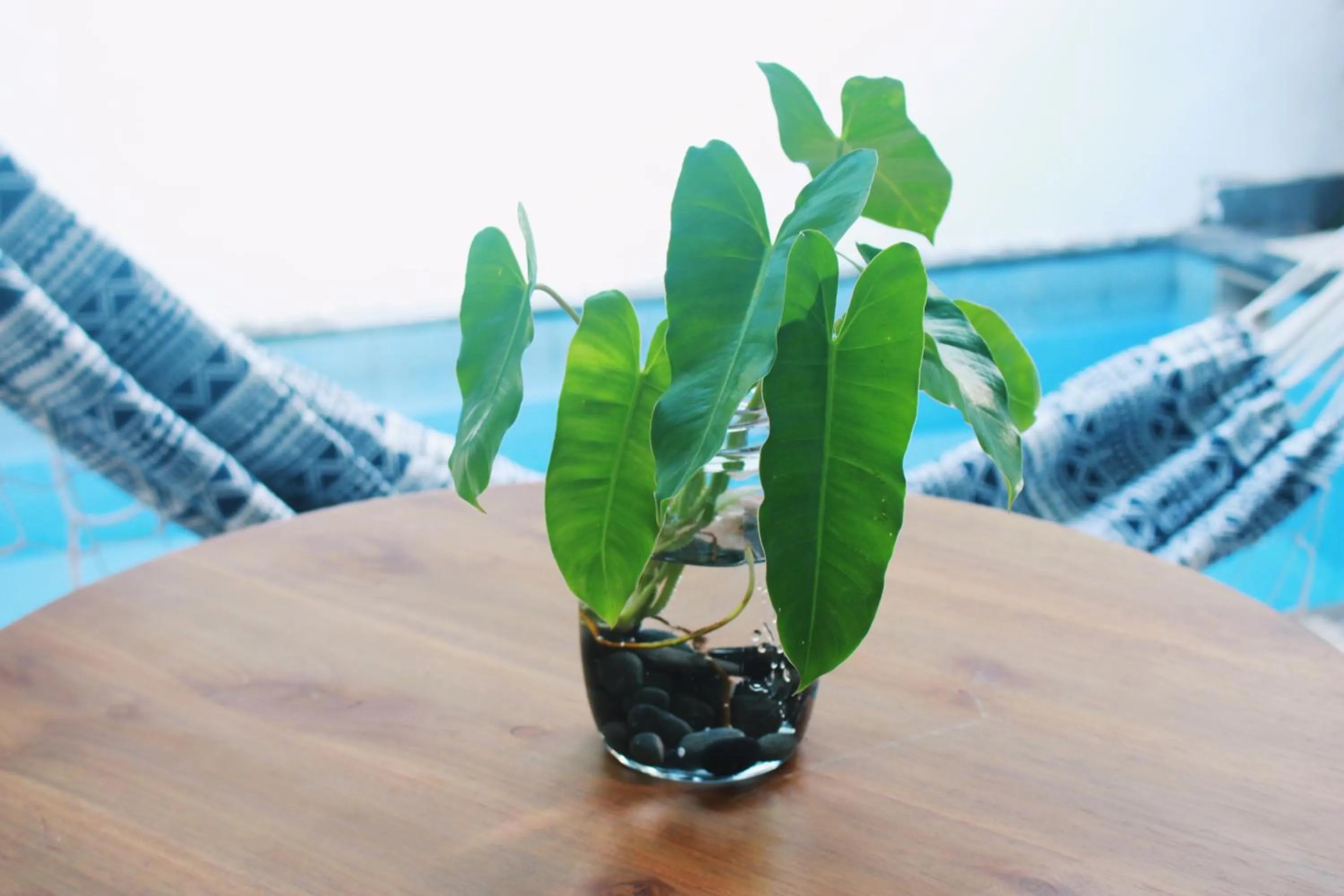 Decorative detail in ThanTha Ubud Villa