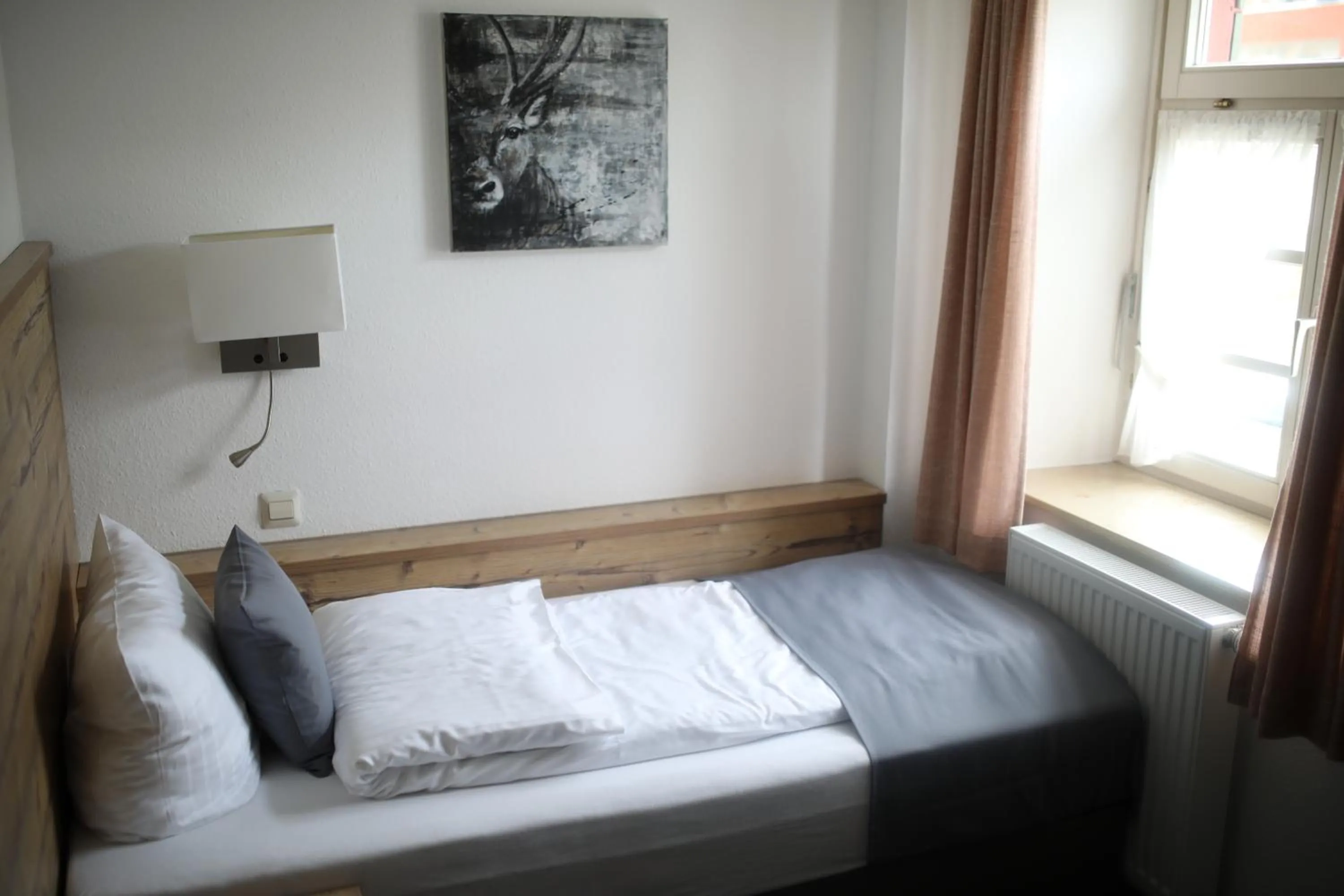 Single Room - single occupancy in Gasthaus Hotel zum Kreuz