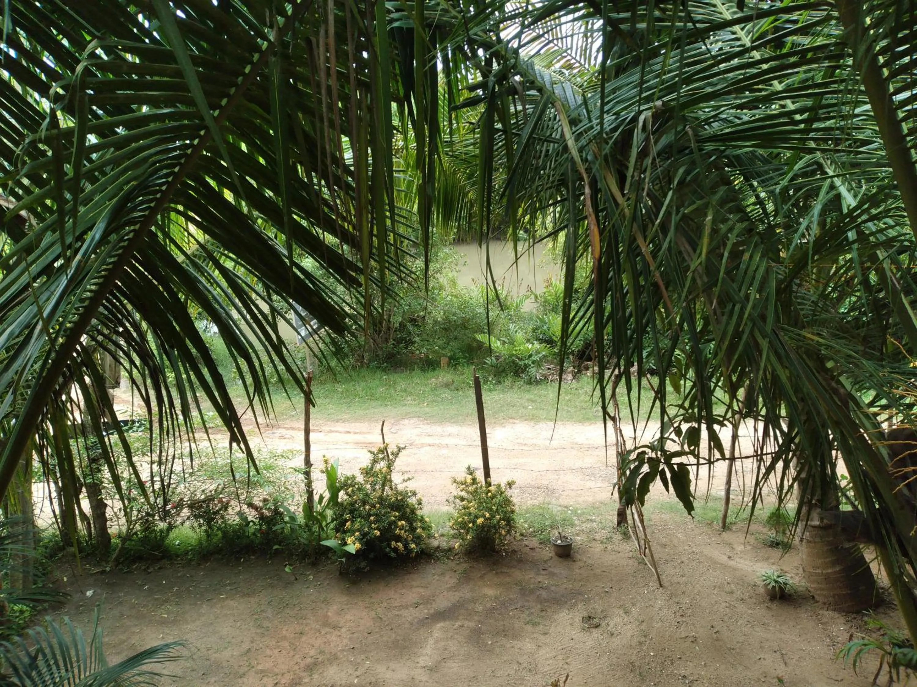 View (from property/room) in Star Sun Homestay