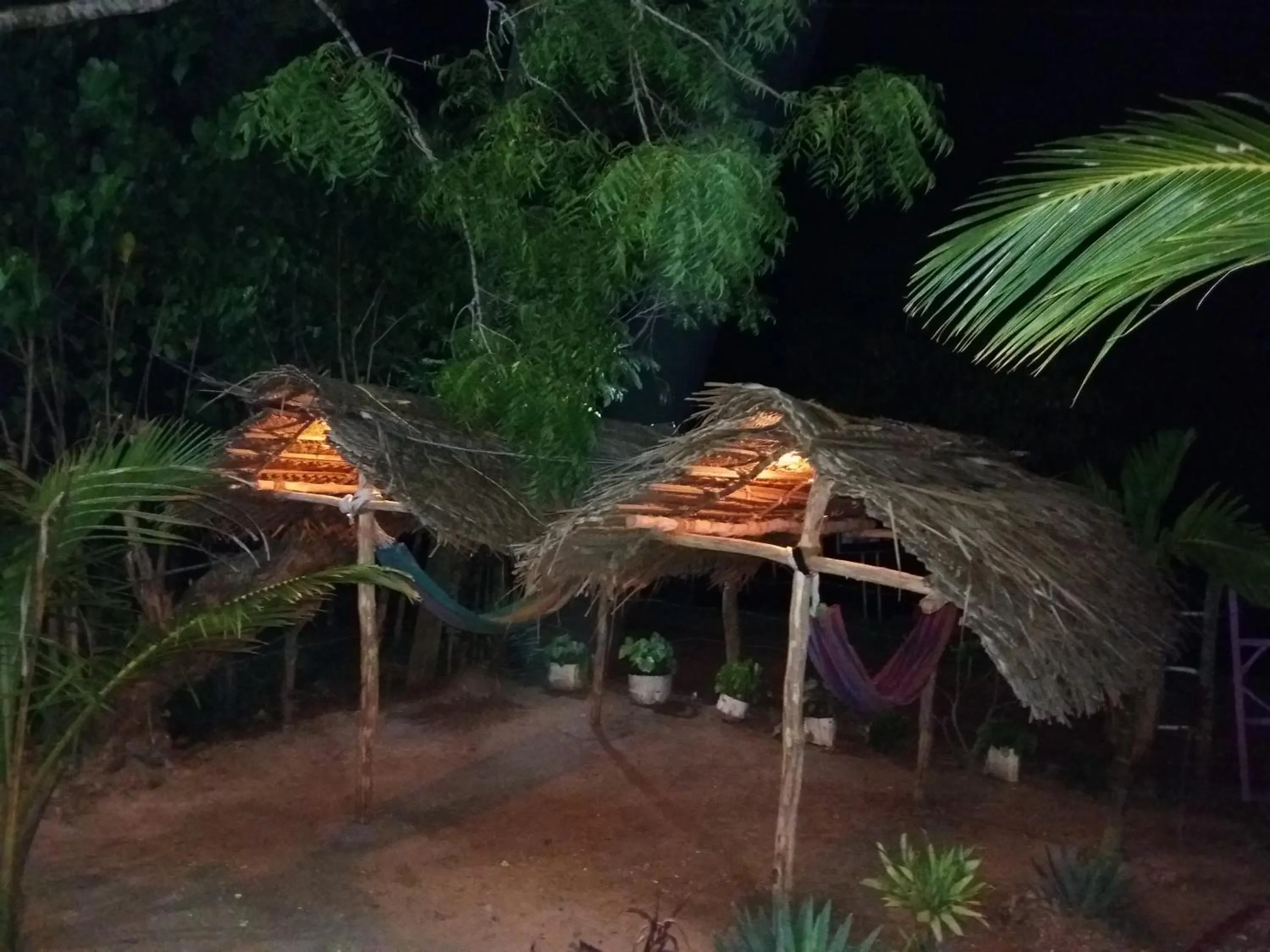 Garden in Star Sun Homestay