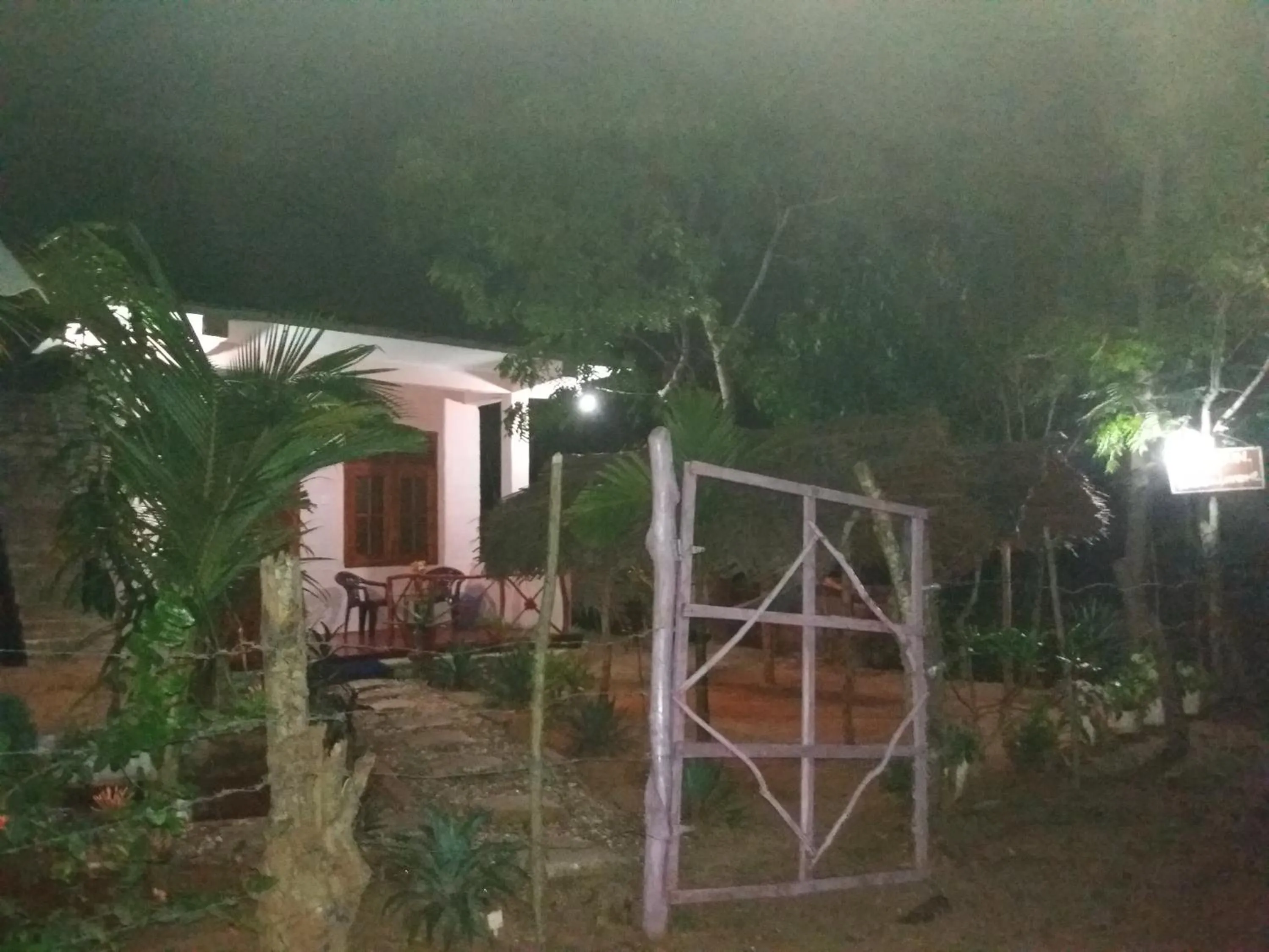 Garden in Star Sun Homestay