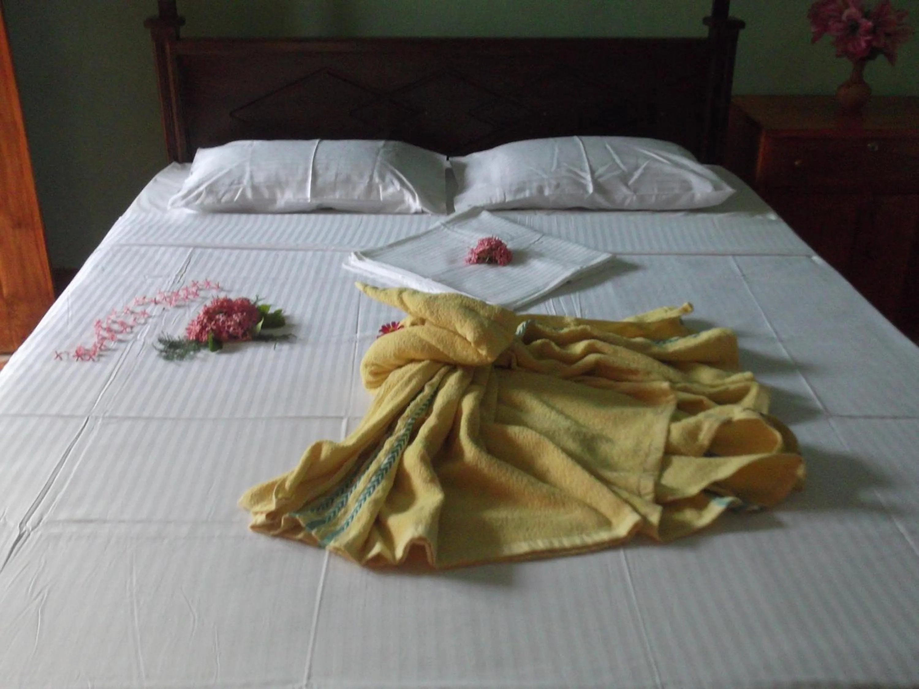 bunk bed, Bed in Star Sun Homestay