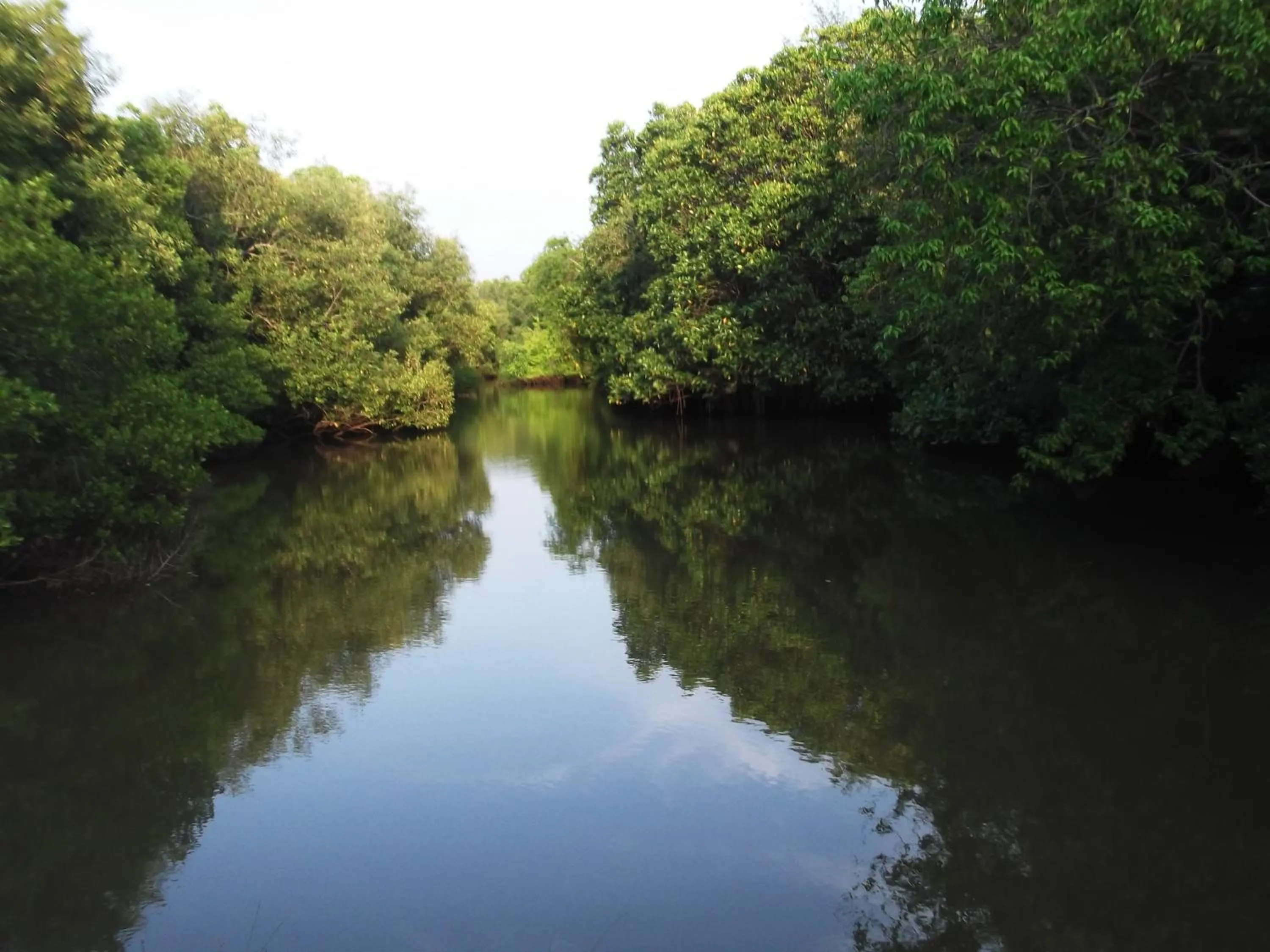 Natural landscape in Star Sun Homestay