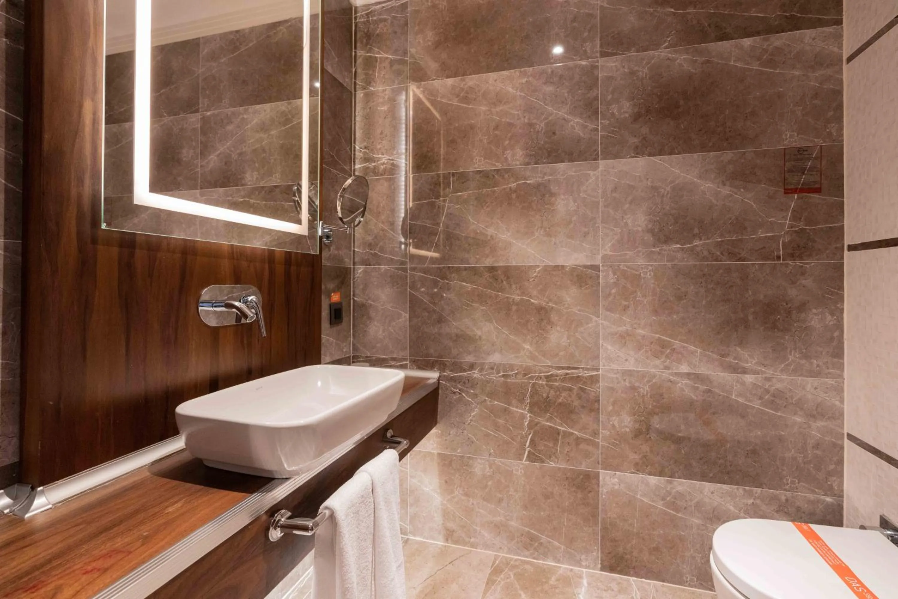 Bathroom in Das 3917